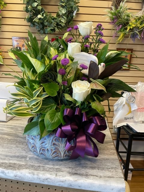 10" Potted Dishgarden Accented with White Roses and Dove (pot color and bow will vary) - 10" Potted dishgarden accented with white roses, purple aster, and a white dove.