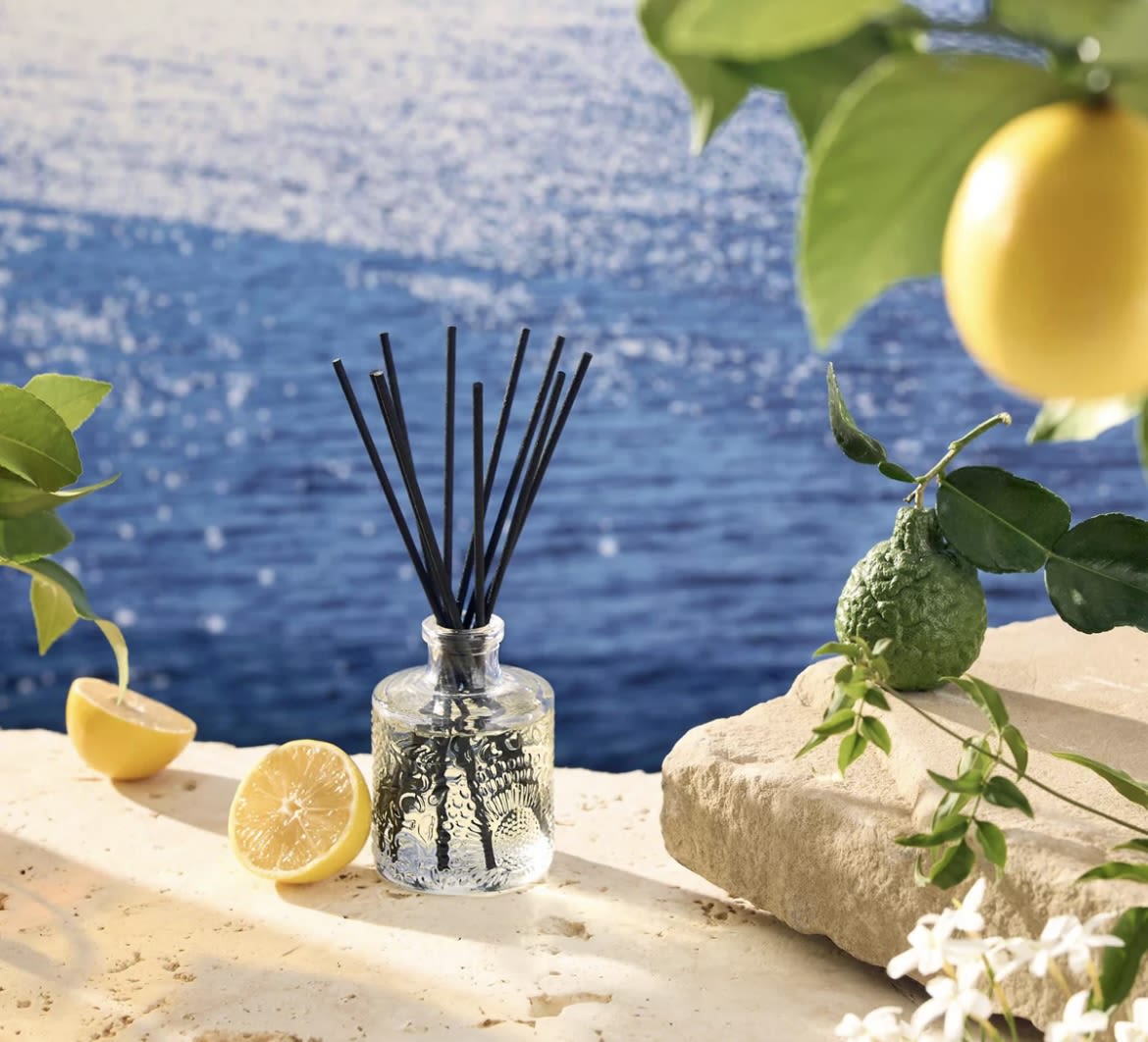 Glass reed diffuser with black sticks and lemon branches
