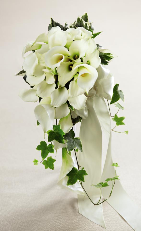 White Chapel Bouquet - Gorgeous white calla lilies and white mini calla lilies take center stage accented with variegated ivy and a sugar  pearl circle bouquet buckle. With the stems wrapped in a an ivory satin  ribbon to finish the look, this bouquet is both dramatic and demure.  