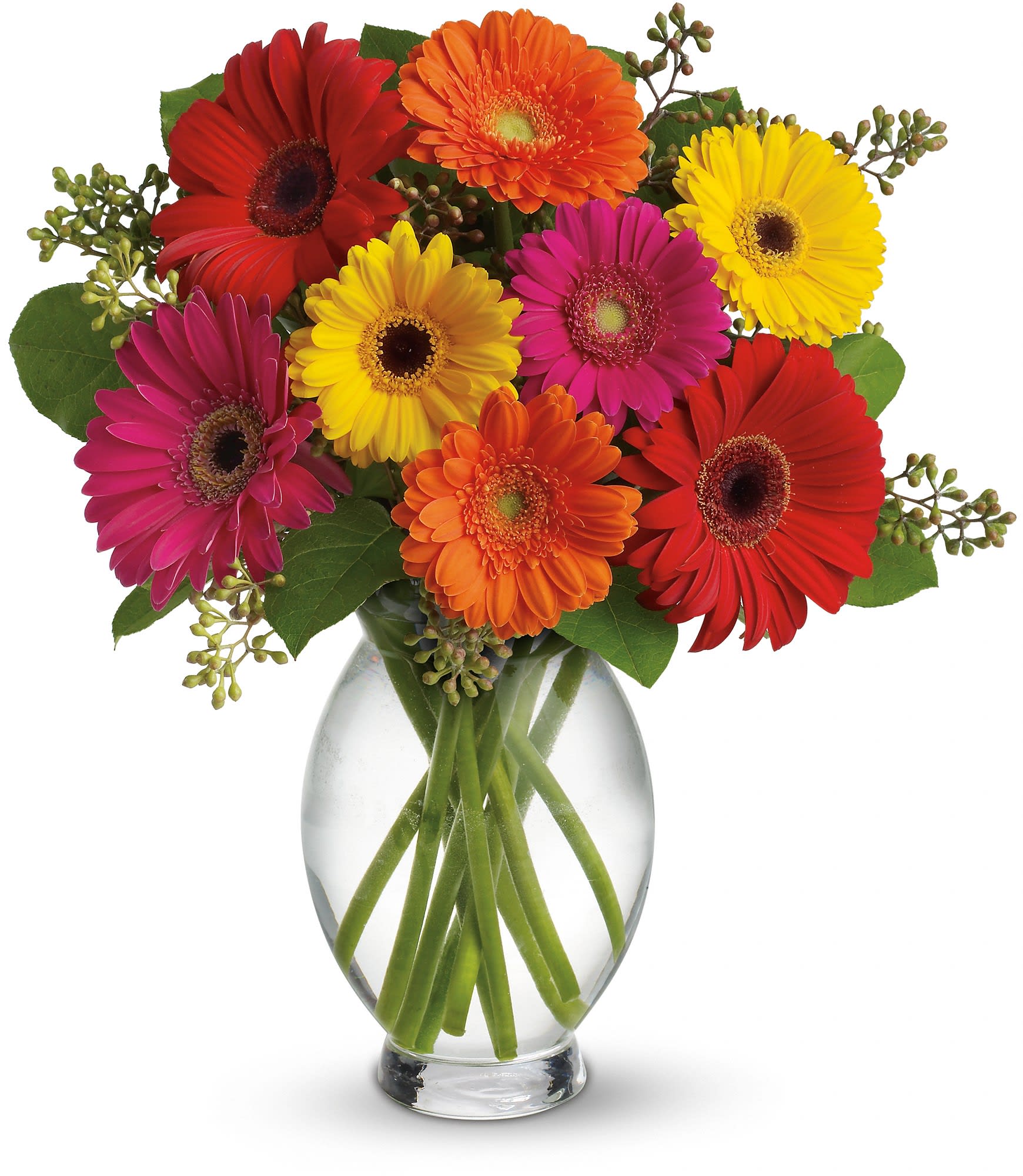 Bright gerbera daisies in a clear glass vase