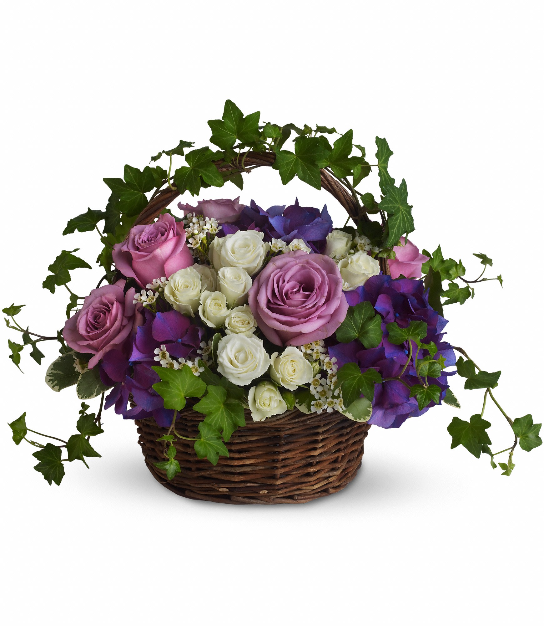 A Full Life - A charming mixture for any reason- or season! Even in mourning it is important to remember and honor a life well lived. This beautiful basket of purple and white flowers blended with vibrant greenery is a wonderful way to pay tribute to one who has indeed lived a full life. ***Color variations available, please call for details.  Brilliant flowers such as purple hydrangea, lavender roses, white spray roses are arranged with beautiful ivy and more in a lovely round basket.  Approximately 16 3/4" W x 12 1/2" H  Orientation: All-Around      As Shown : T211-1A     Deluxe : T211-1B     Premium : T211-1C  