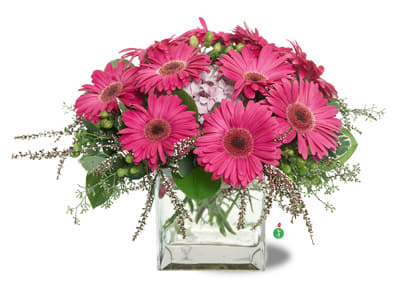 Gerbera Glory - Add a bit of pop art prettiness to any room – send a bright bouquet of hot pink gerberas, accented with a mix of greenery and pink blooms. This bouquet is both fun and fabulous, and can also work as a wedding shower centerpiece. Call for colors available!