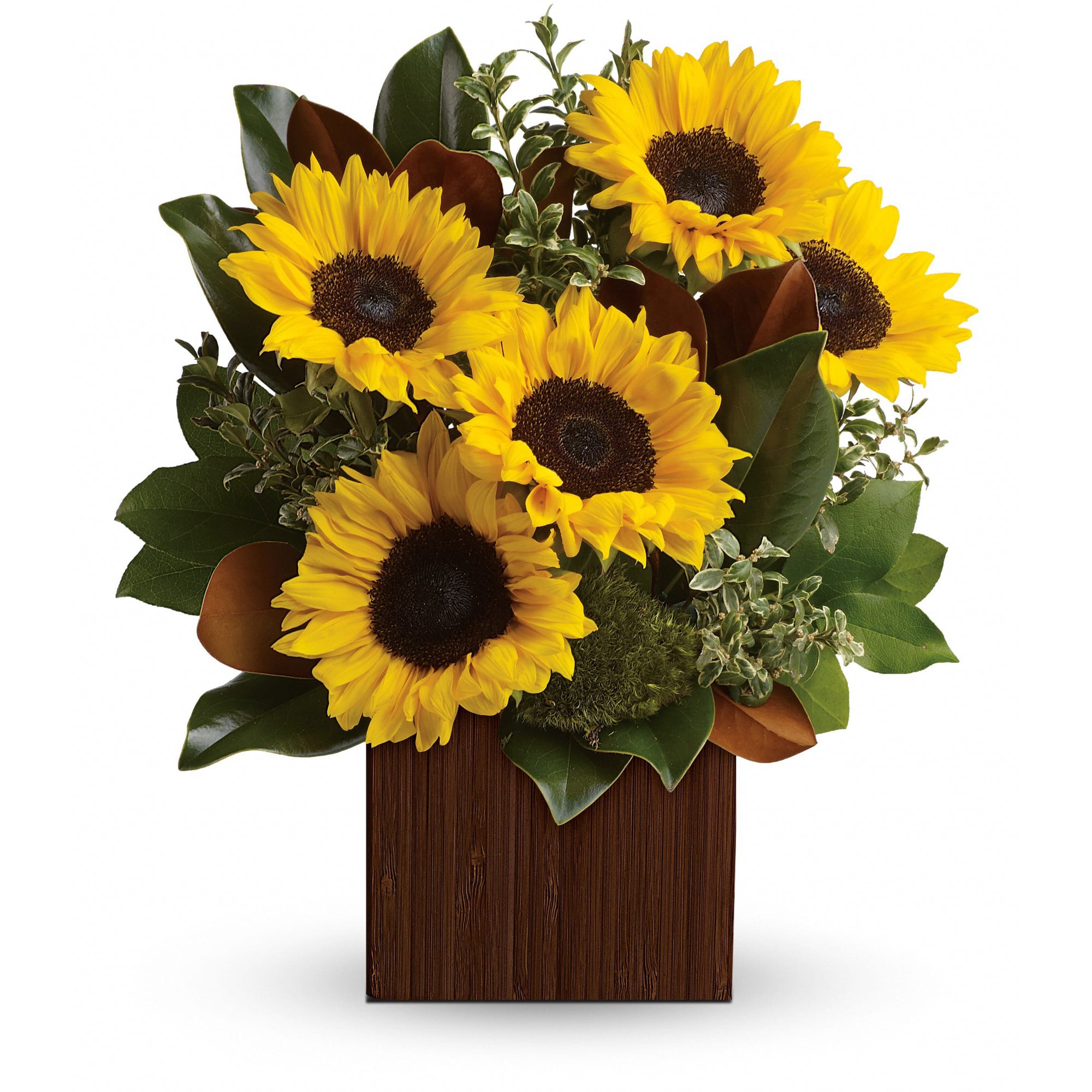 You're Golden Bouquet  - Rise and shine! Send her a sunrise with this golden bouquet of bright-as-day sunflowers. It's the perfect gift for the light of your life. Sunflowers designed in a wooden box- color of box may vary. 