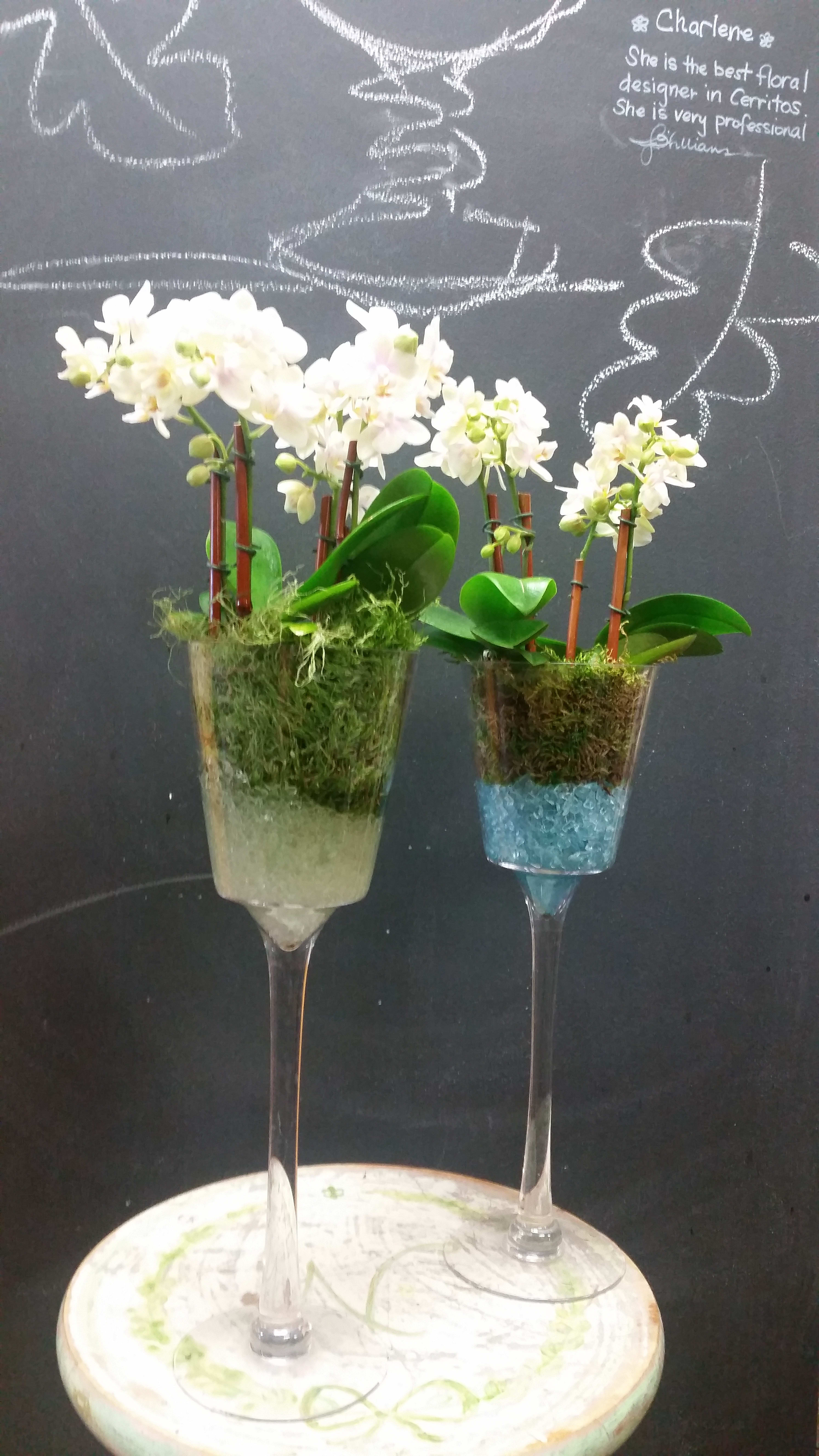Two white orchid arrangements in tall wine glasses on a round tray
