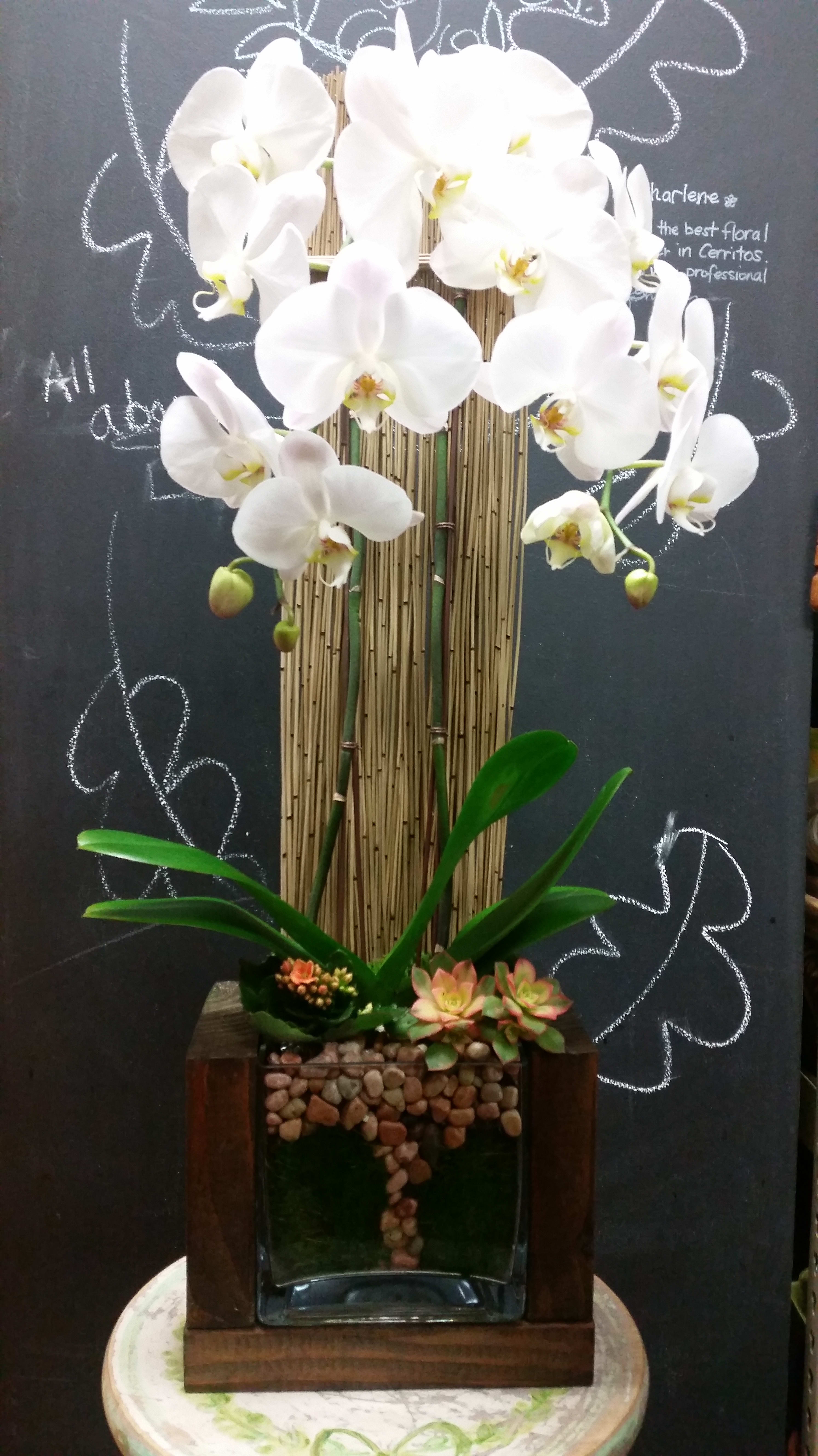 White orchids in a tall wooden planter with succulents at the base