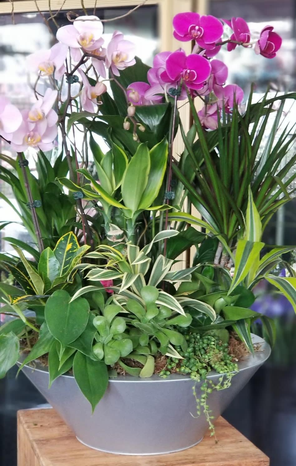Potted orchid arrangement with pink and white blooms in a gray bowl planter