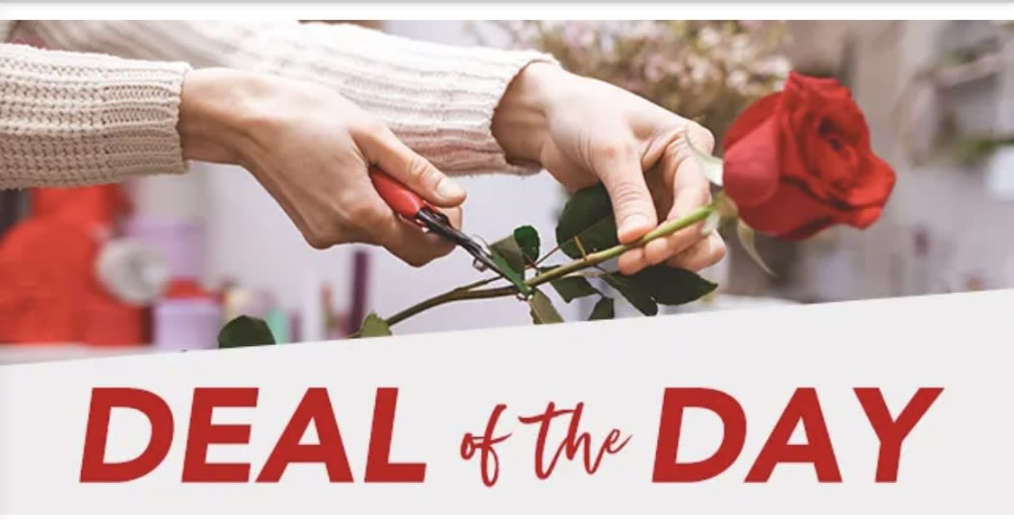 Hands trimming a single red rose stem with shears above text reading Deal of the Day