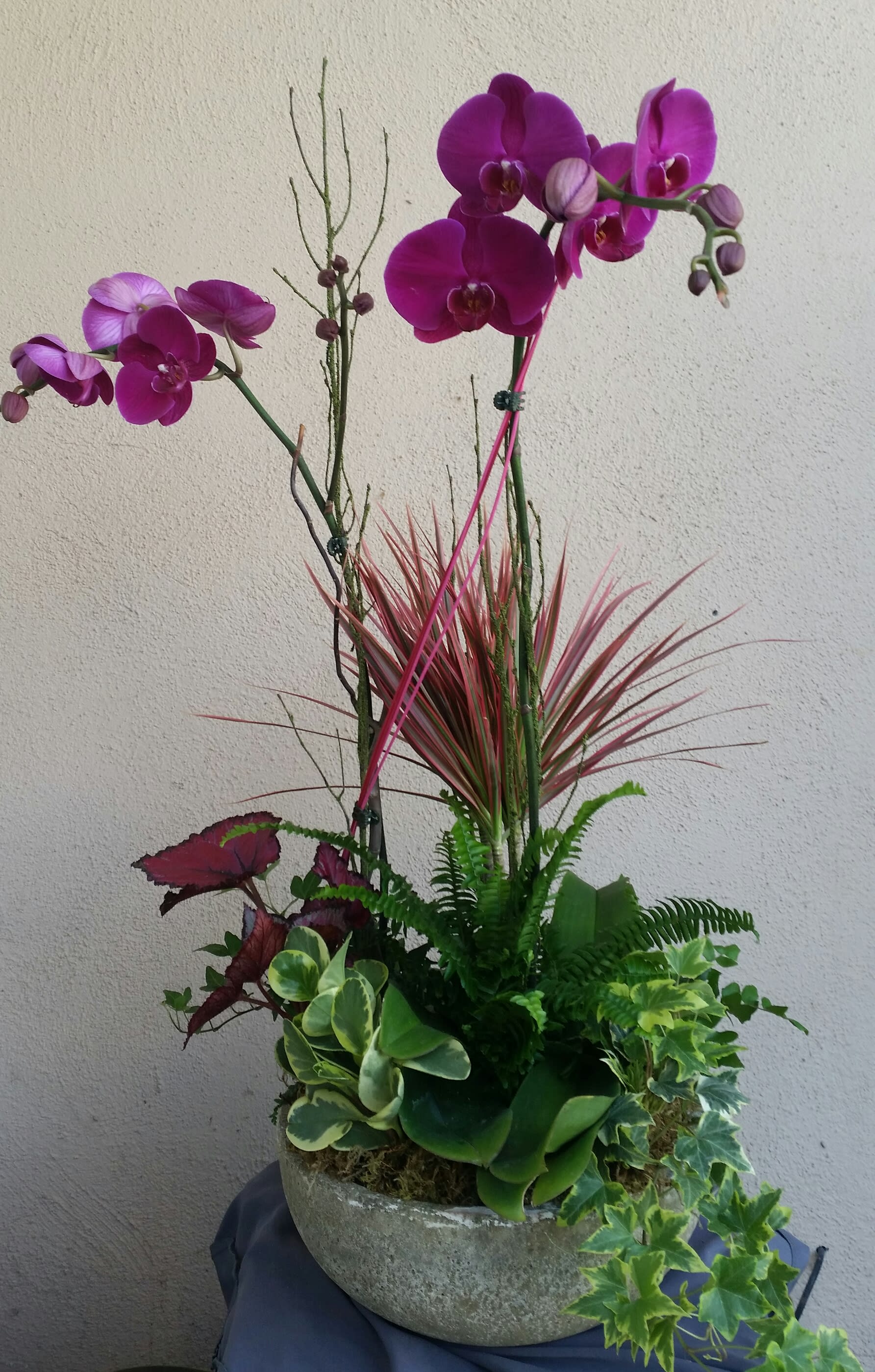 Purple orchids in a stone planter with mixed foliage