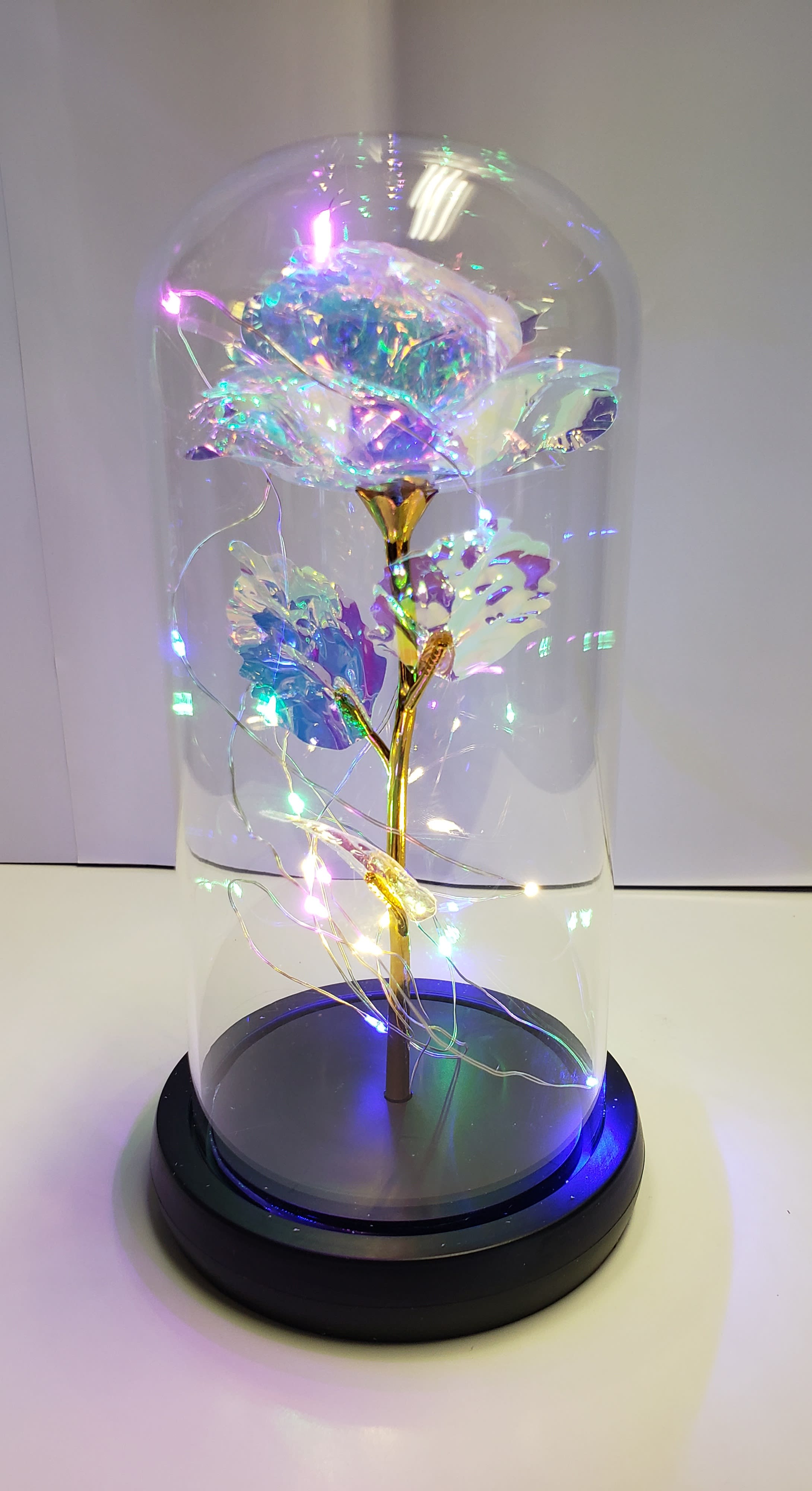 Iridescent rose under a clear dome with string lights