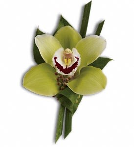 Green Orchid Boutonniere - A single cymbidium orchid makes a high-fashion statement.  A green cymbidium orchid with seeded eucalyptus, lily grass and salal.  Approximately 3 3/4" W x 6 3/4" H  Orientation: N/A 