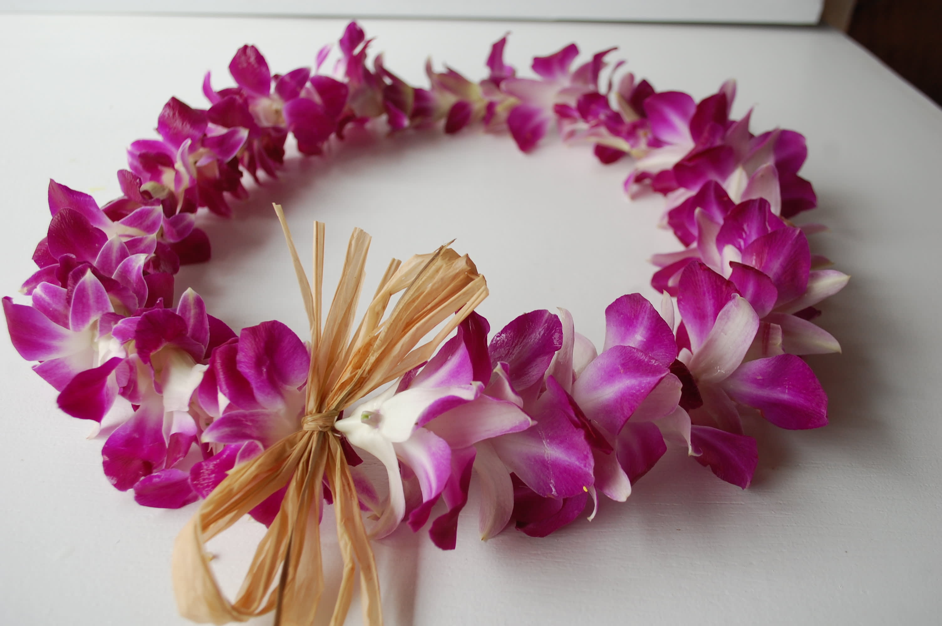 Classic Lei - This graduation classic is full of Purple and White Orchids. Perfect for male or female graduates. For dates outside of our heavy graduation season, please order 5-7 days ahead of time.  Graduation season is  (May 10-20)