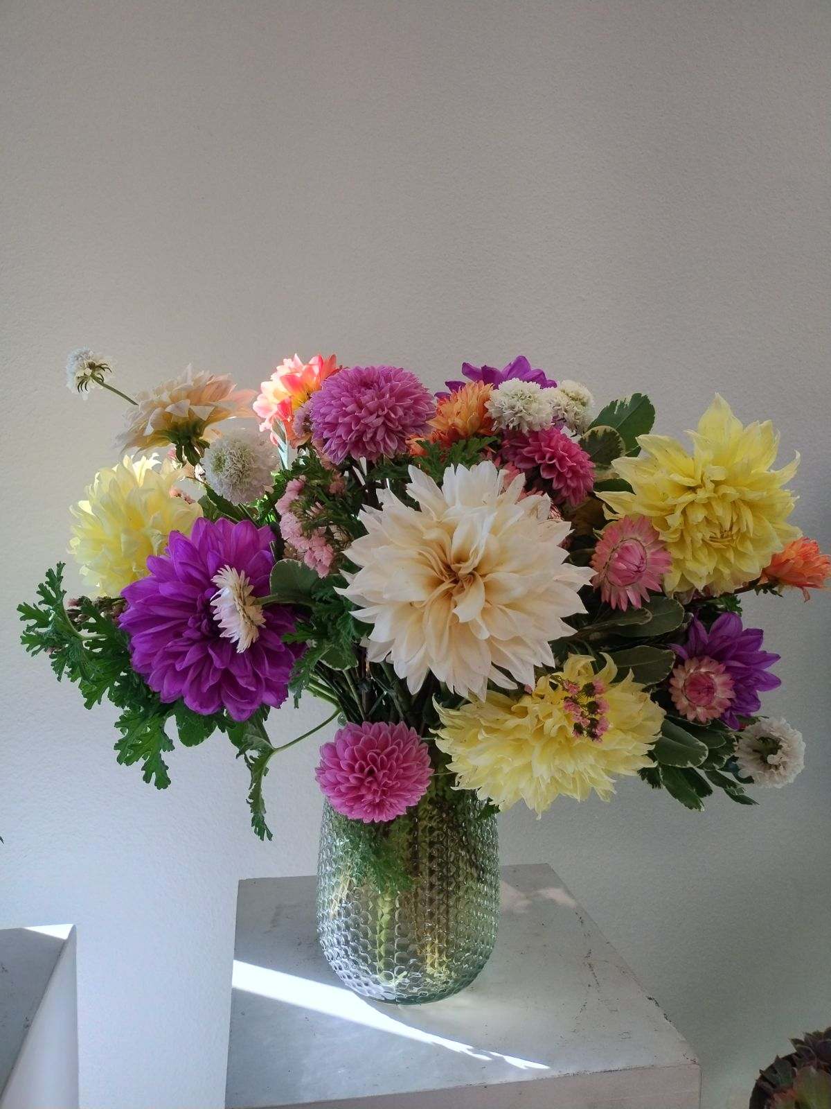 Dahlia Daydream - Wow! A gorgeous grouping of Summertime Dahlias straight from the farm- locally grown. 