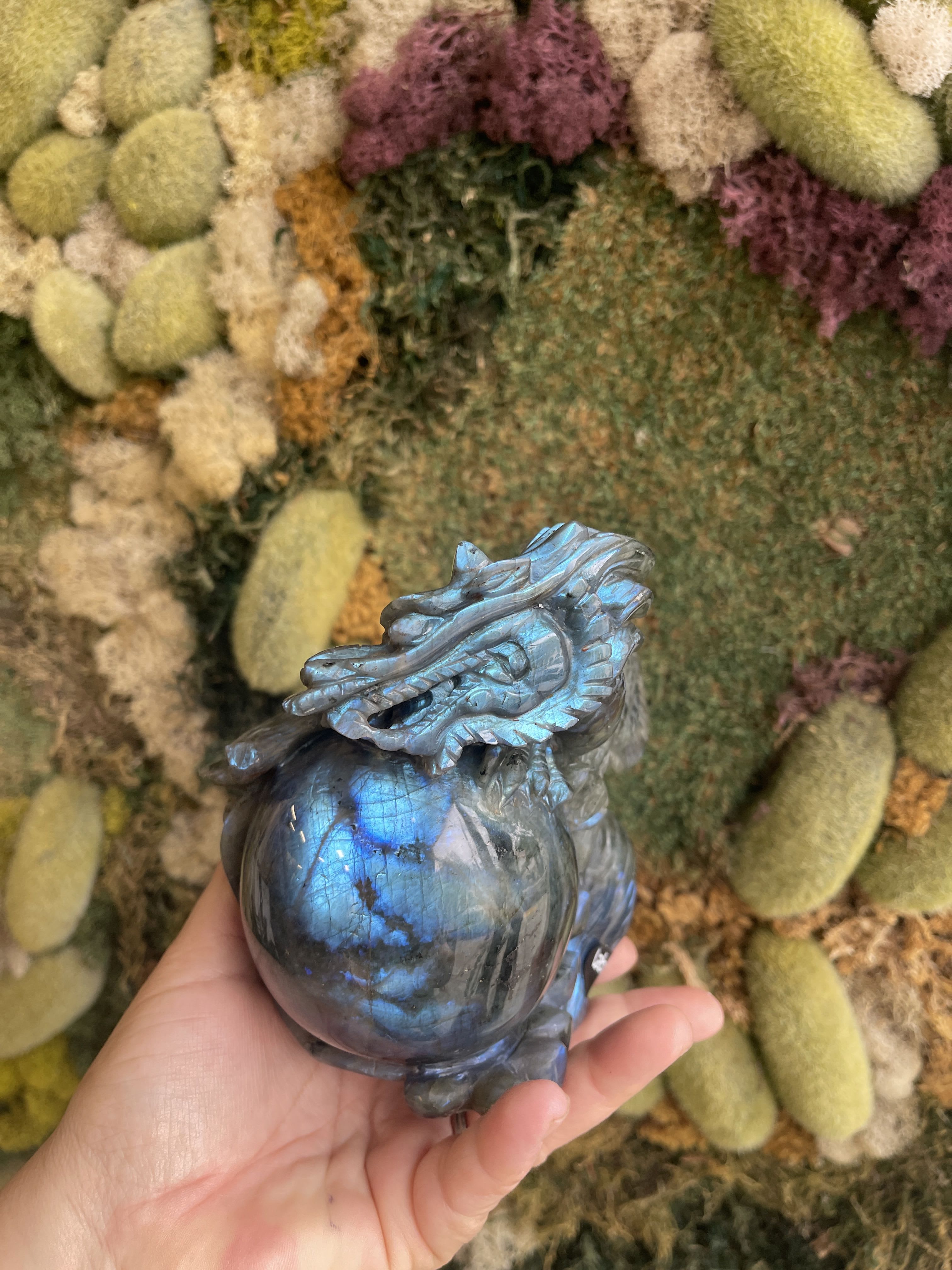 Hand holding a blue iridescent dragon figurine in front of a moss wall