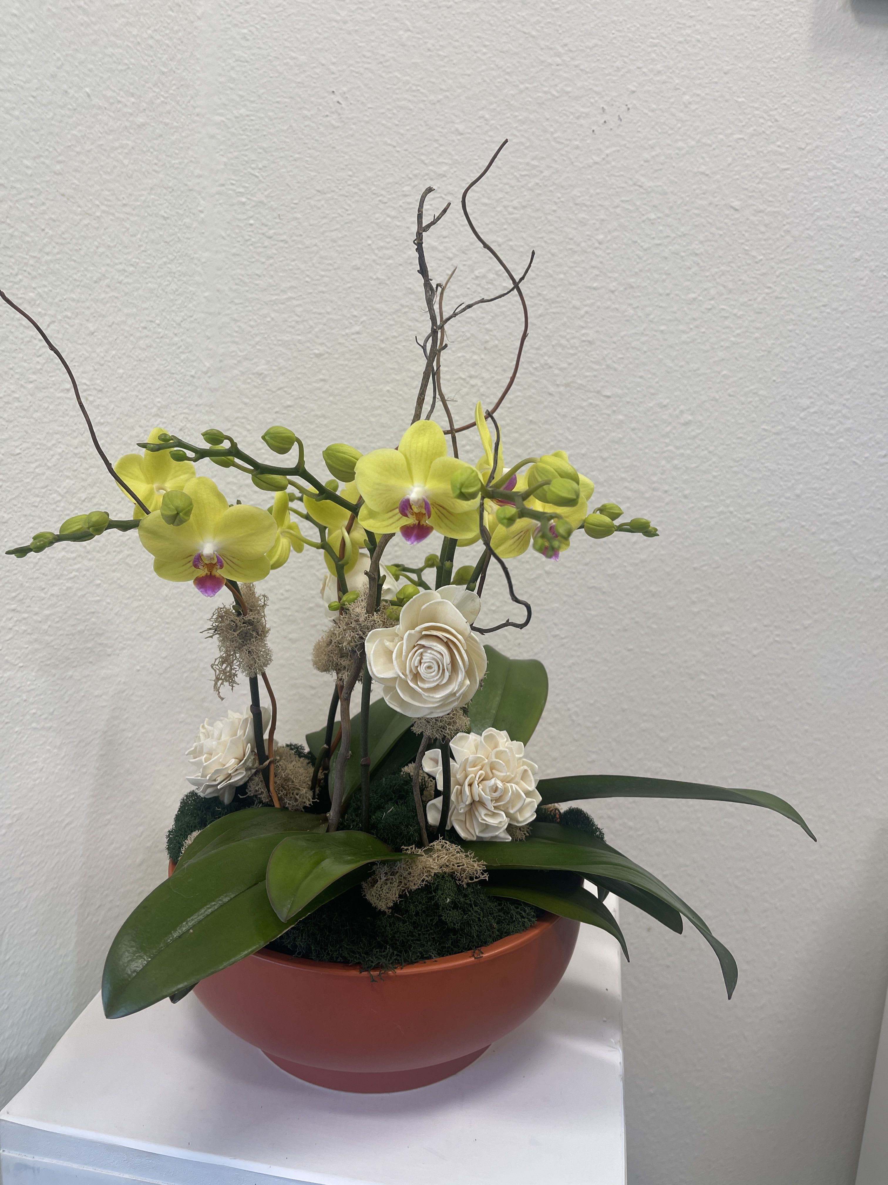 Potted orchid arrangement with yellow blooms and cream decorative flowers