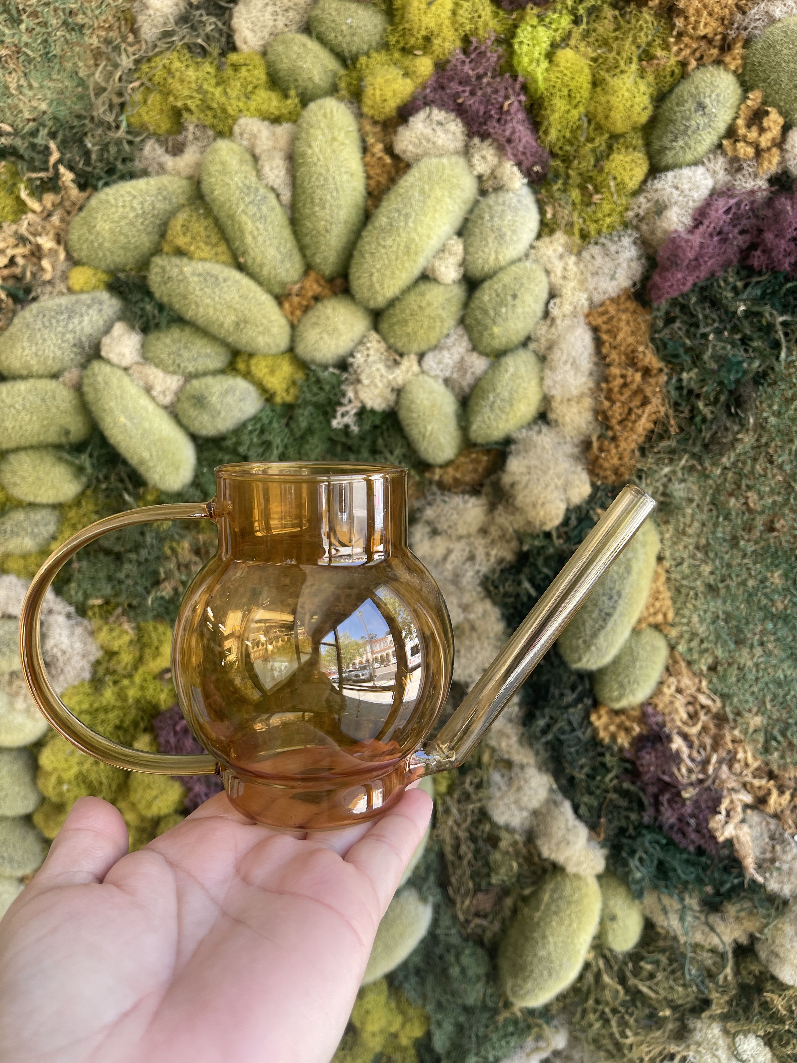 Amber glass watering can held in front of a moss wall