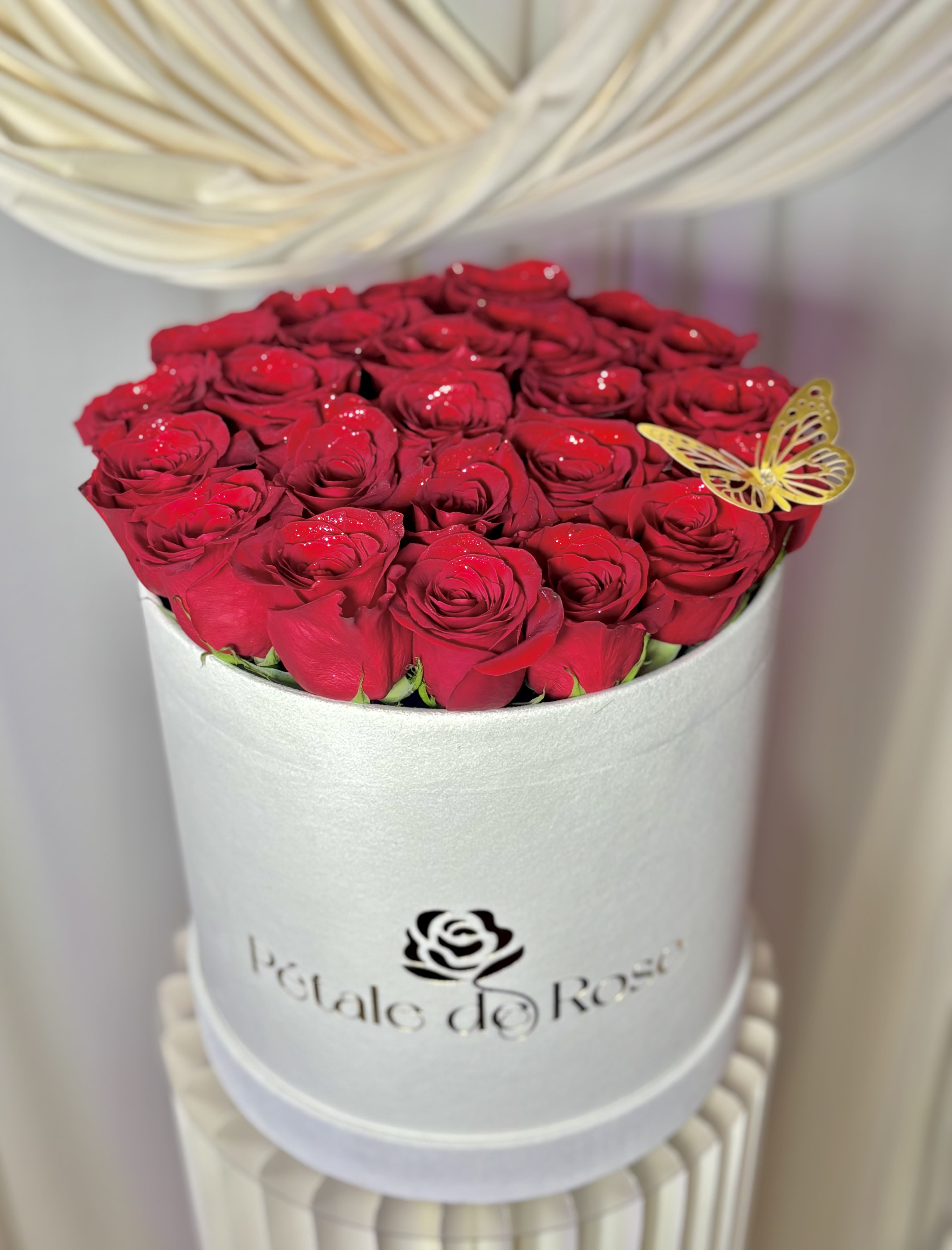 24 Roses Deluxe Box - Enjoy our most lovely roses