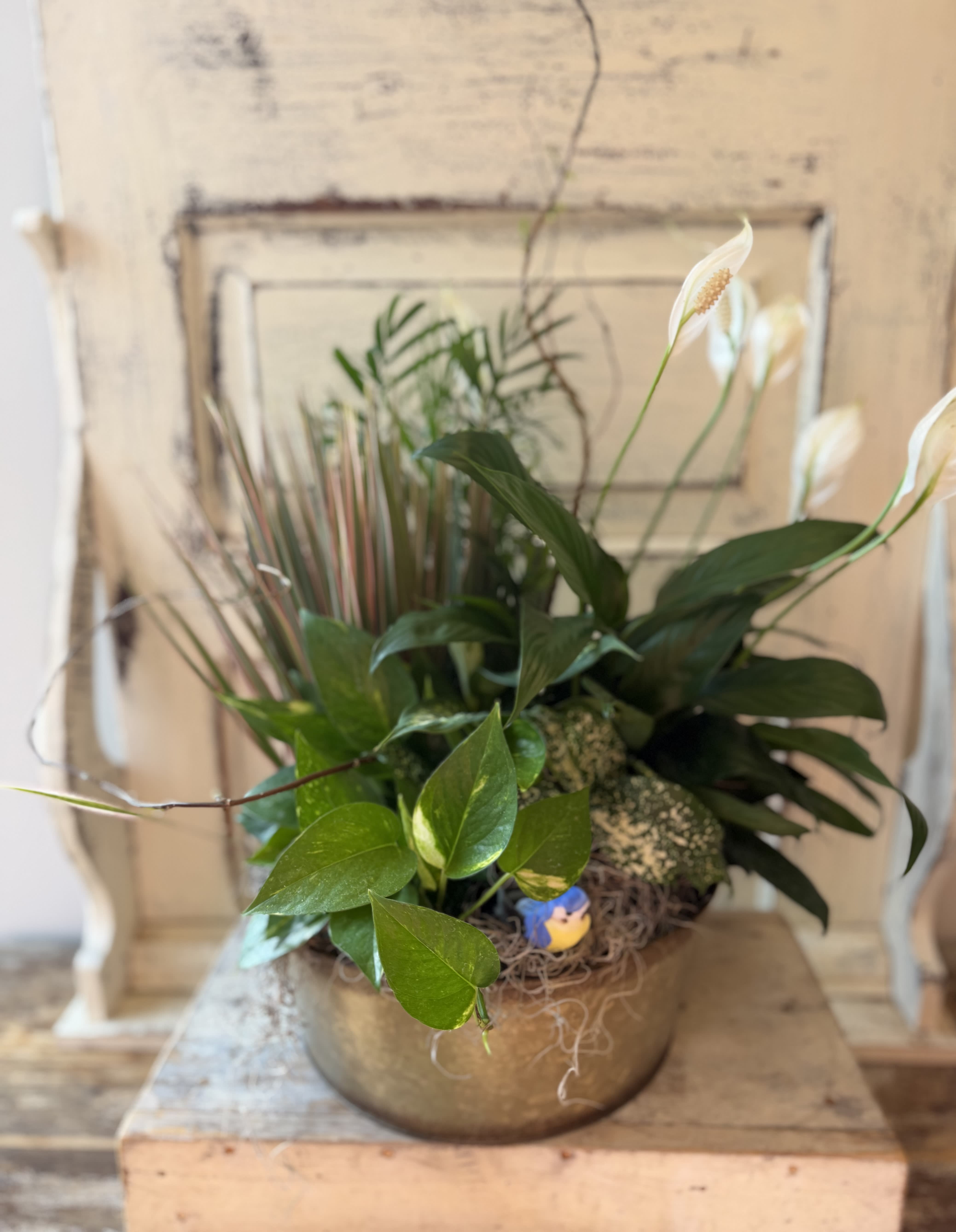 Mixed potted plant arrangement with white peace lilies in a round bowl