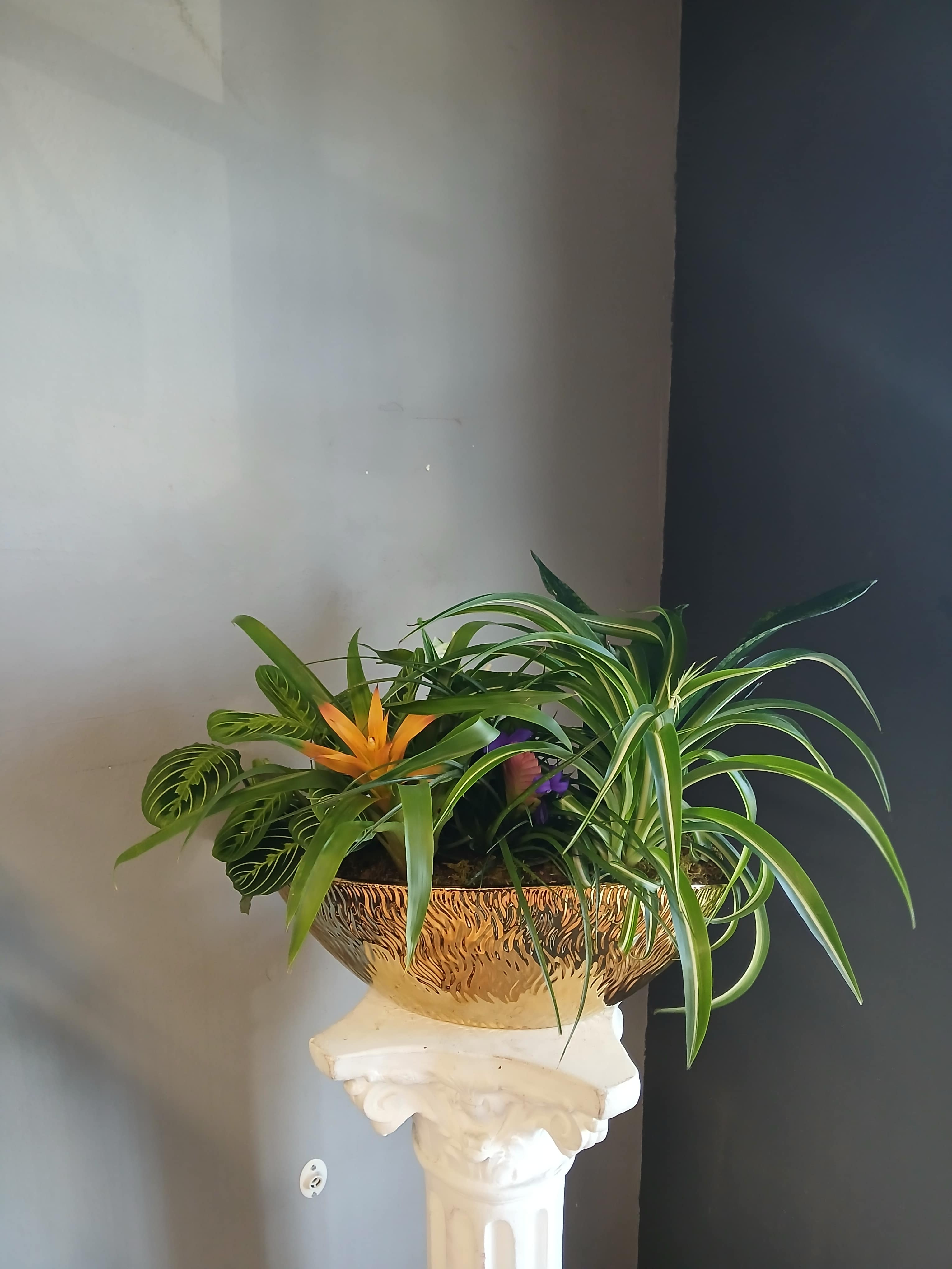 Mixed tropical plants in a gold bowl planter on a pedestal