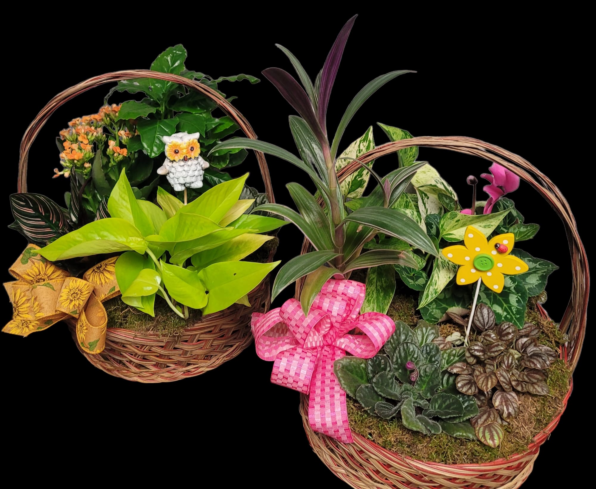 Two wicker baskets filled with assorted potted plants and decorative bows
