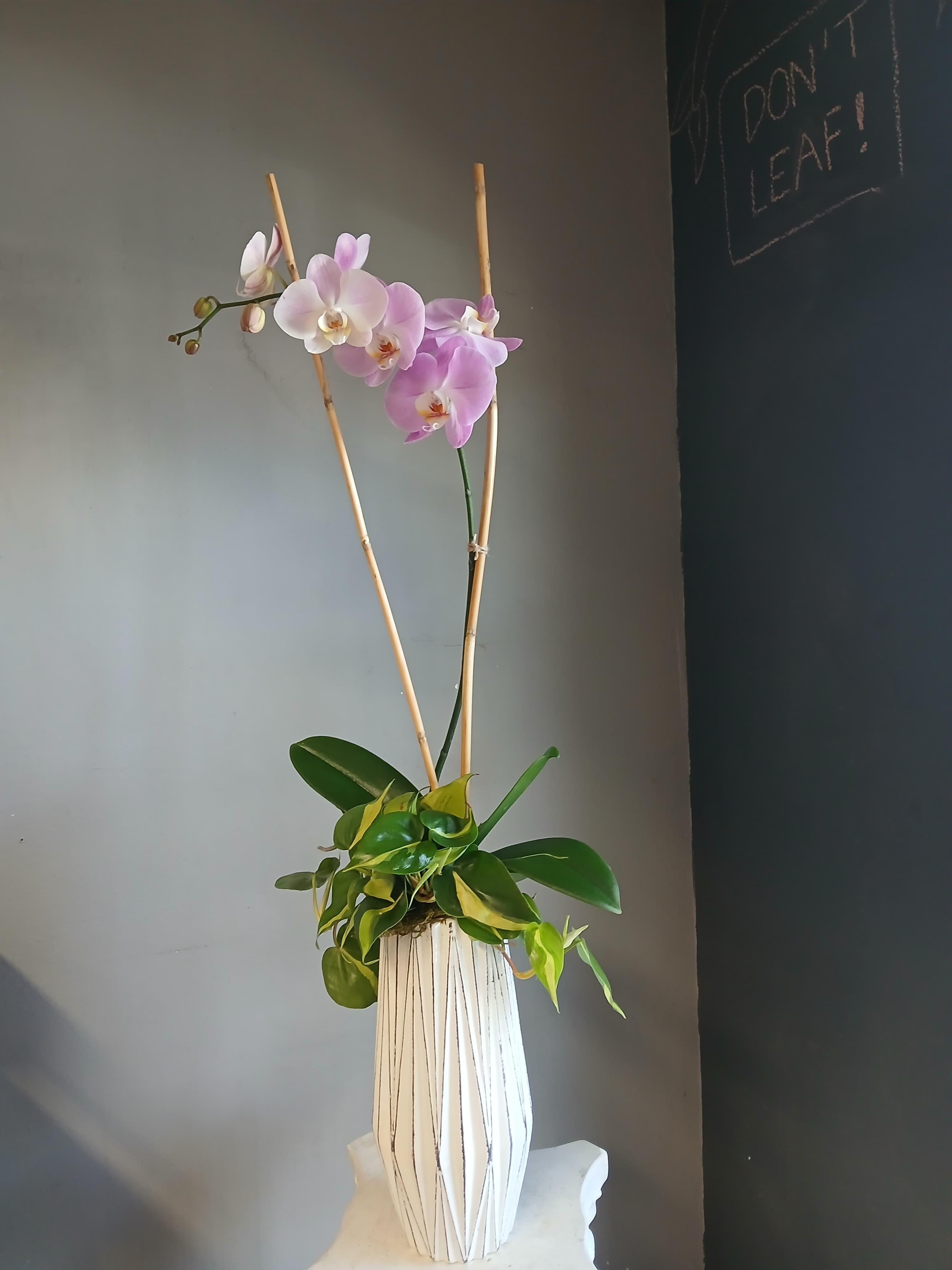 Pink orchids in a tall white vase with bamboo stakes