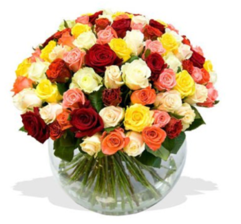 A HUNDRED AND ONE - A lavish dome of one hundred and one roses in mixed reds, pinks, peaches, creams and sunny yellows makes a bold, joyful statement for birthdays, anniversaries, or any occasion when you want someone to feel truly celebrated. This rounded rose bouquet reads as both romantic and exuberant-the rich color mix and densely packed blooms create a plush, painterly surface that draws the eye and stirs the heart.  The roses are tightly clustered in a clear glass vase so the focus stays on the abundant flower heads while the long stems show through the water for a classic, elegant presentation. Colors range from deep red and blush pink to peach, cream and bright yellow, giving the arrangement warm, layered depth and a lively, cheerful character.  Perfect for the person you want to surprise with something memorable, this arrangement sends a message of admiration and joy-ideal for anniversaries, milestone birthdays, or simply to say "you're special." Arrives ready-to-display in the clear vase; change water every 2-3 days and recut stems for longest vase life.