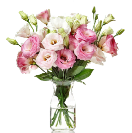 ELEGANT SASHA - Soft, romantic lisianthus in shades of pink, blush, and white create a gentle everyday bouquet that reads as a birthday, thank-you, or soft romantic gesture. The rounded, airy cluster and upward-reaching buds give the arrangement a fresh, hopeful energy-perfect for the person you want to make feel seen and quietly celebrated.  A loose collection of open and partially closed lisianthus is arranged in a clear glass vase so the focus stays on delicate ruffled petals and soft green foliage. The palette of pink, white, and green keeps the look versatile for springtime moments or subtle anniversary and thinking-of-you gifts. Arrives ready to display in the vase; refresh water every few days and trim stems for longer life so the blooms continue to charm.
