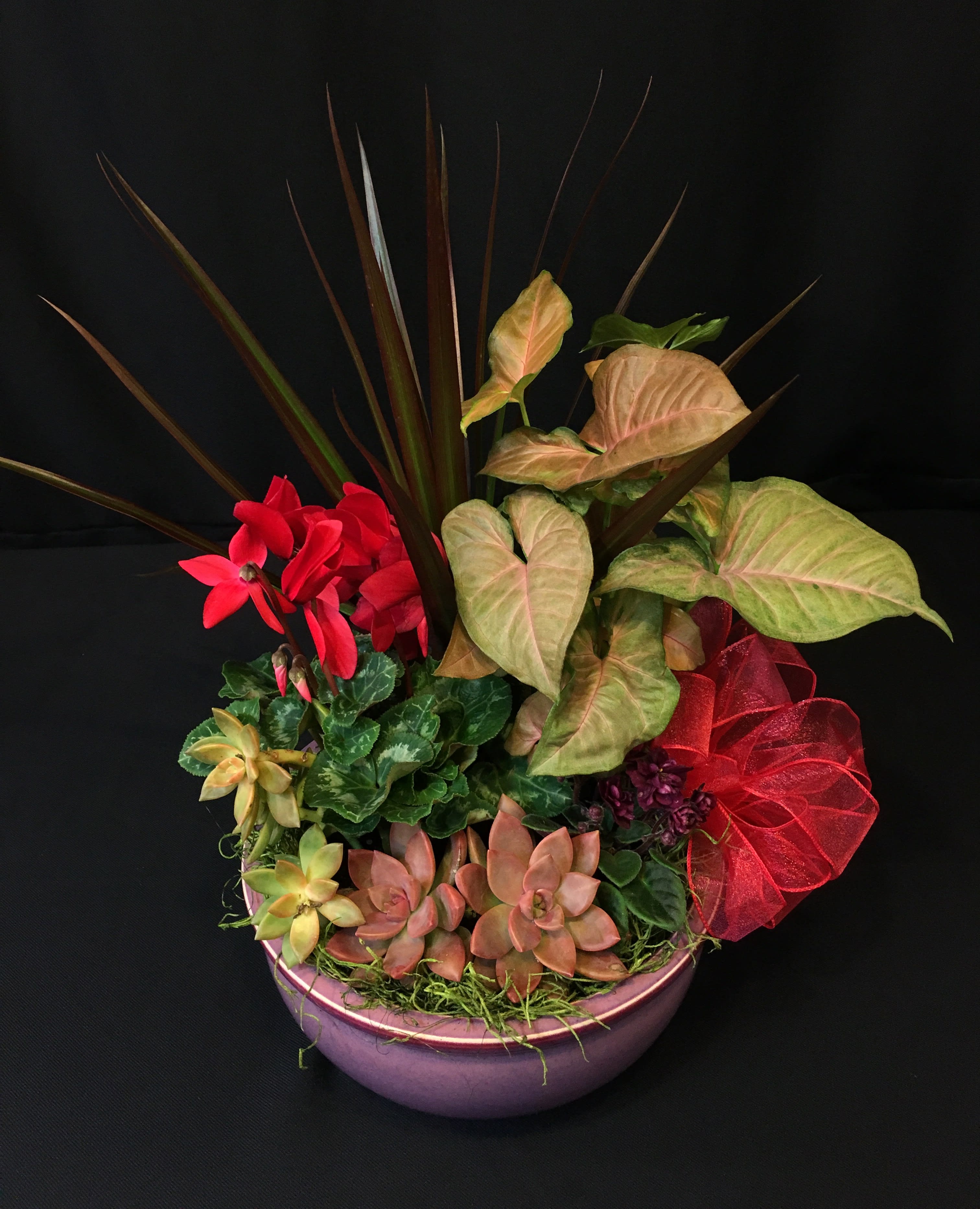 Pretty Planter Garden - Beautiful color, blooms and texture. Live plants make a long lasting display of love. Colors, plants and container will vary.