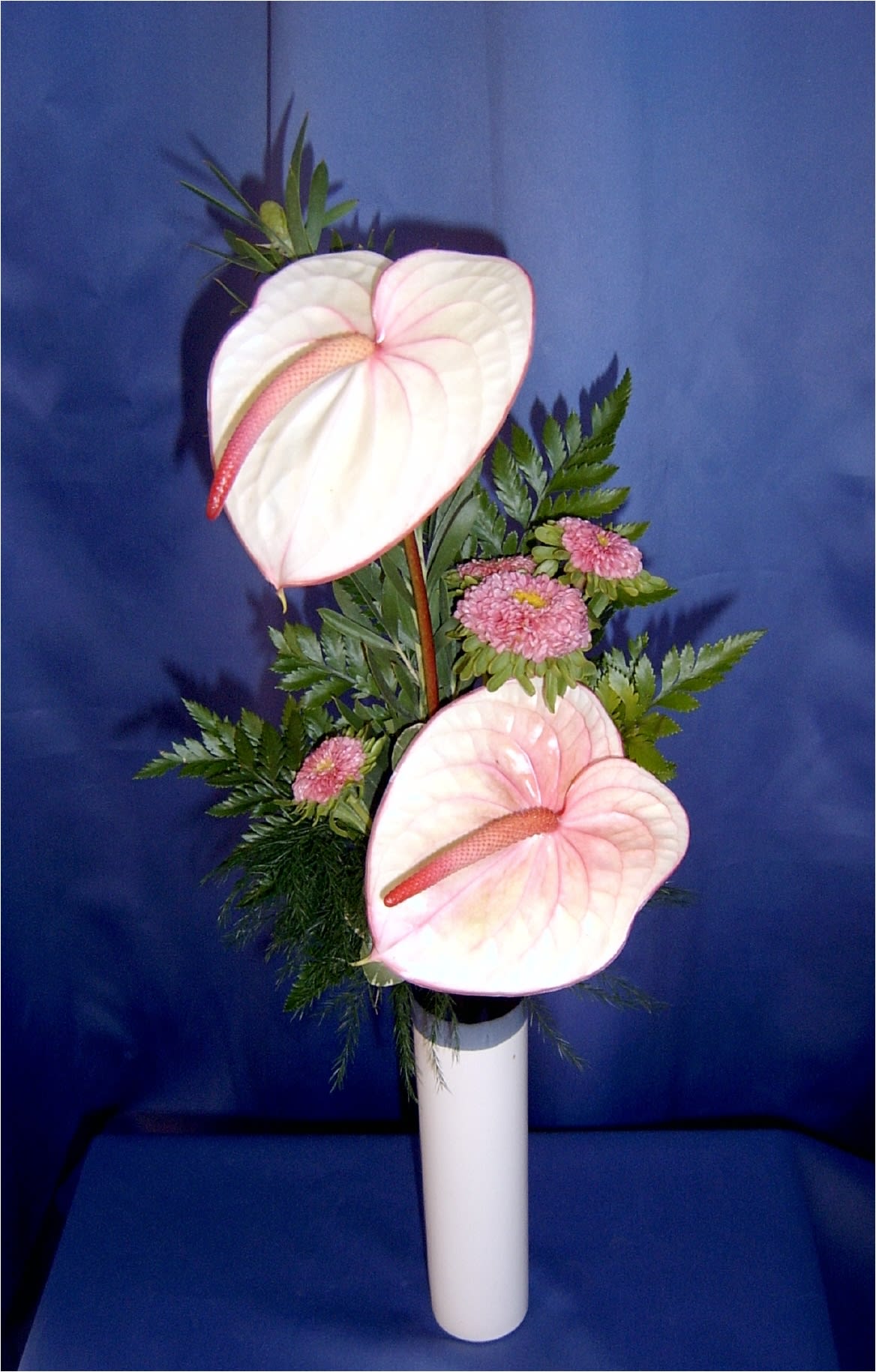 Anthurium Pastel Bud Vase - Send these lovely heart shape anthurium flowers to express your love at valentine's day.  This is the modern alternative flower to the rose.  Our anthuriums come in a range of colors.