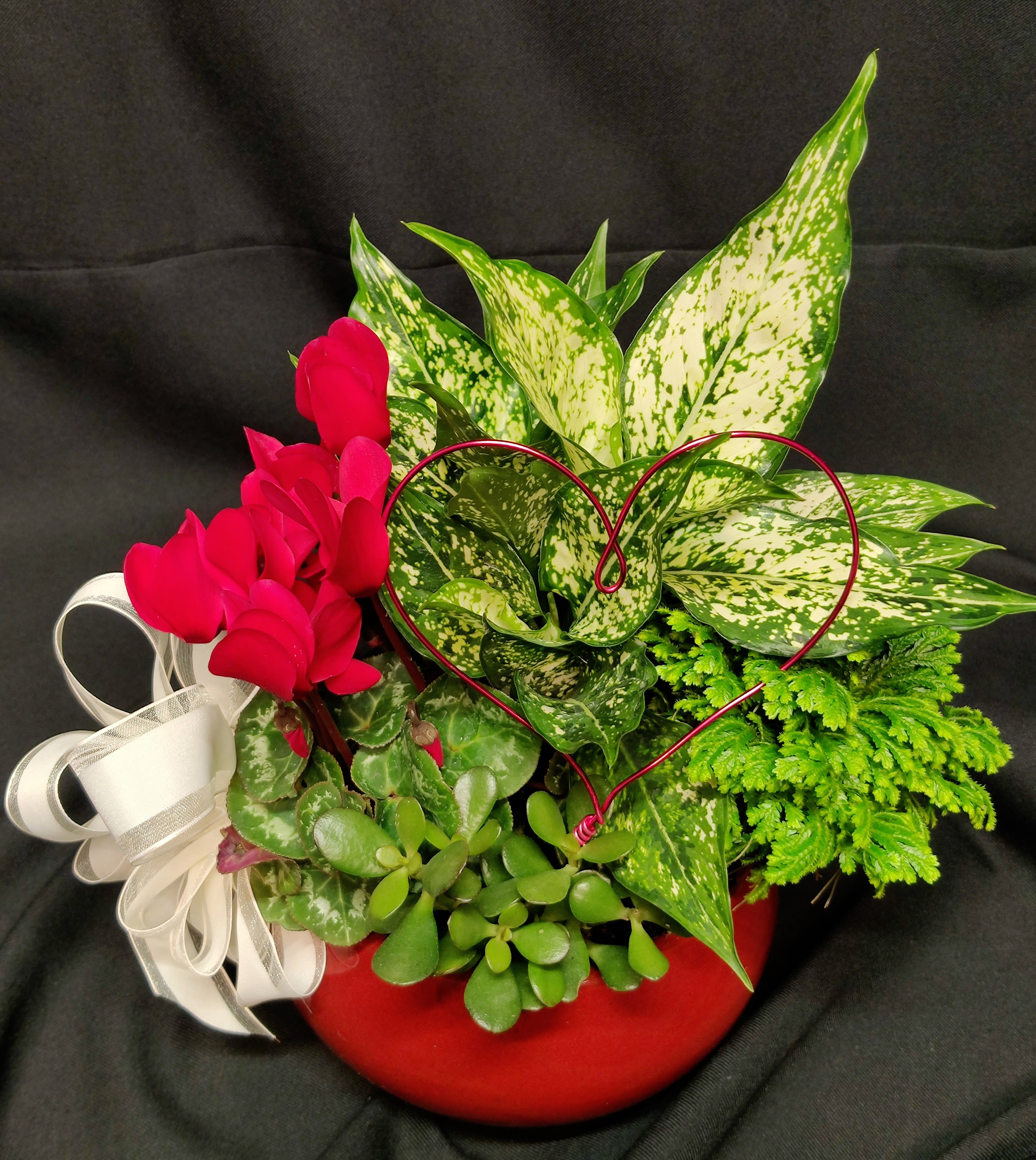 Valentine blooming planter in Red pot - Bright light plant selection. With a shiny heart.