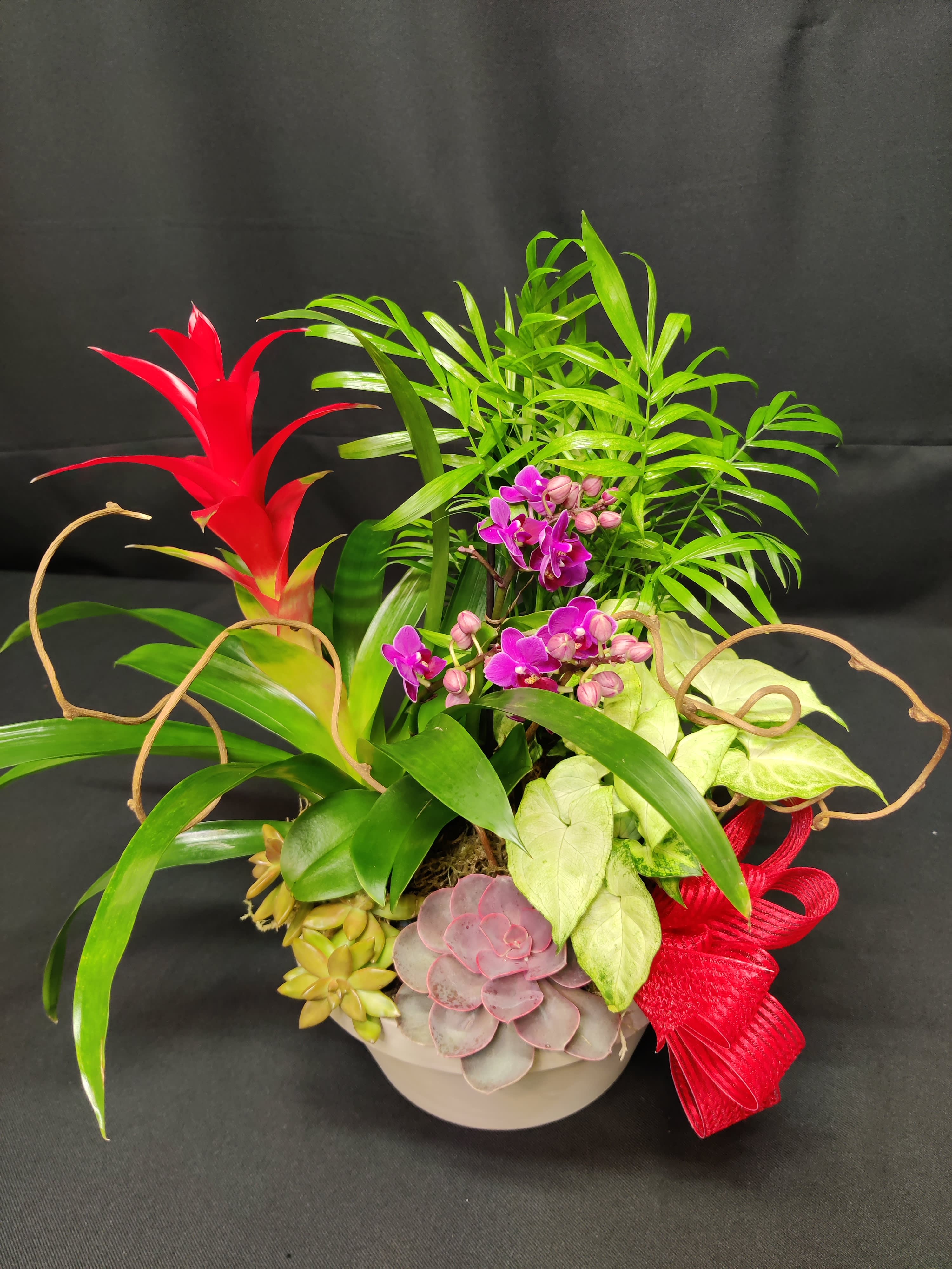 Tropical plant arrangement with purple orchids, succulents, and a red bromeliad in a bowl