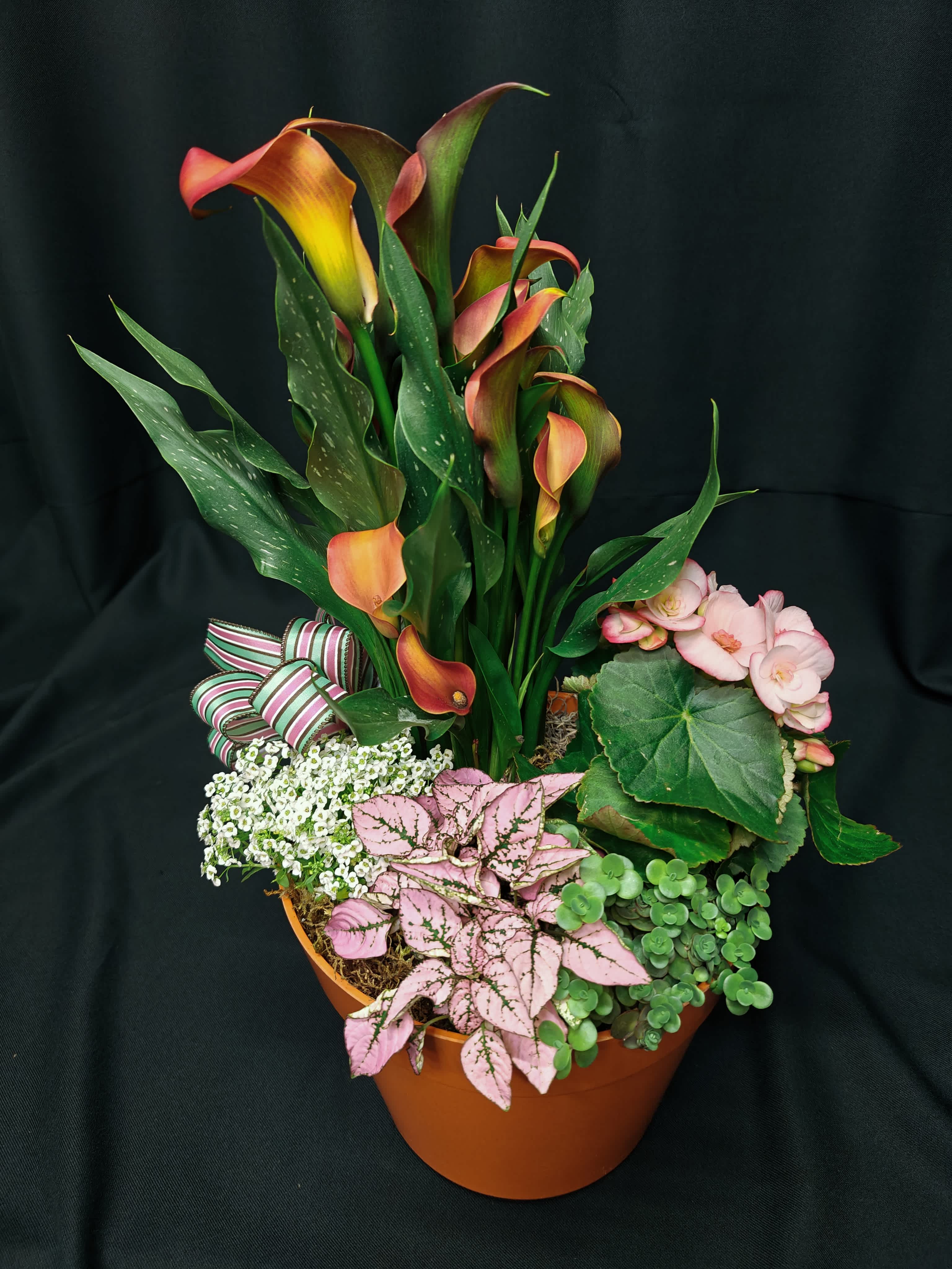 Potted arrangement with orange calla lilies, pink blooms, and mixed foliage