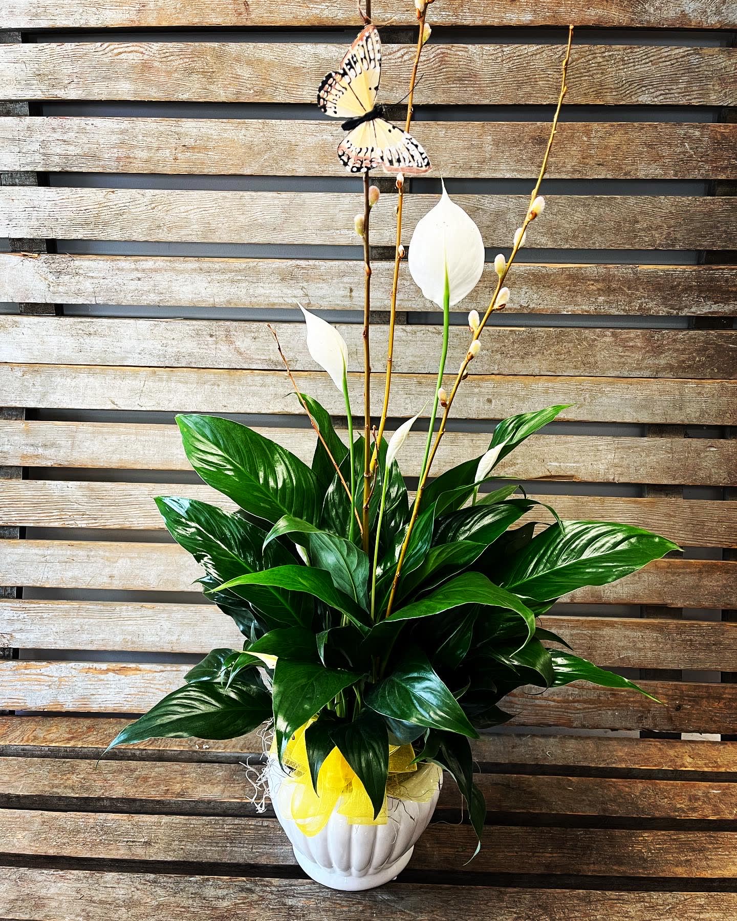White peace lilies in a white pot with a butterfly decoration