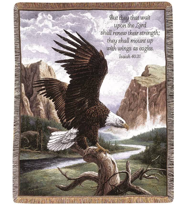 Framed tapestry of a bald eagle with a Bible verse over a mountain landscape