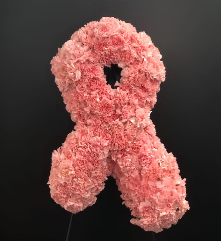 Pink carnation ribbon-shaped floral tribute on a black background