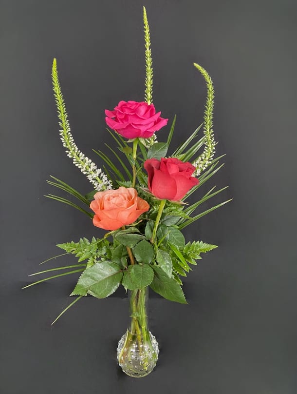 Three roses in a small glass vase with tall green spikes