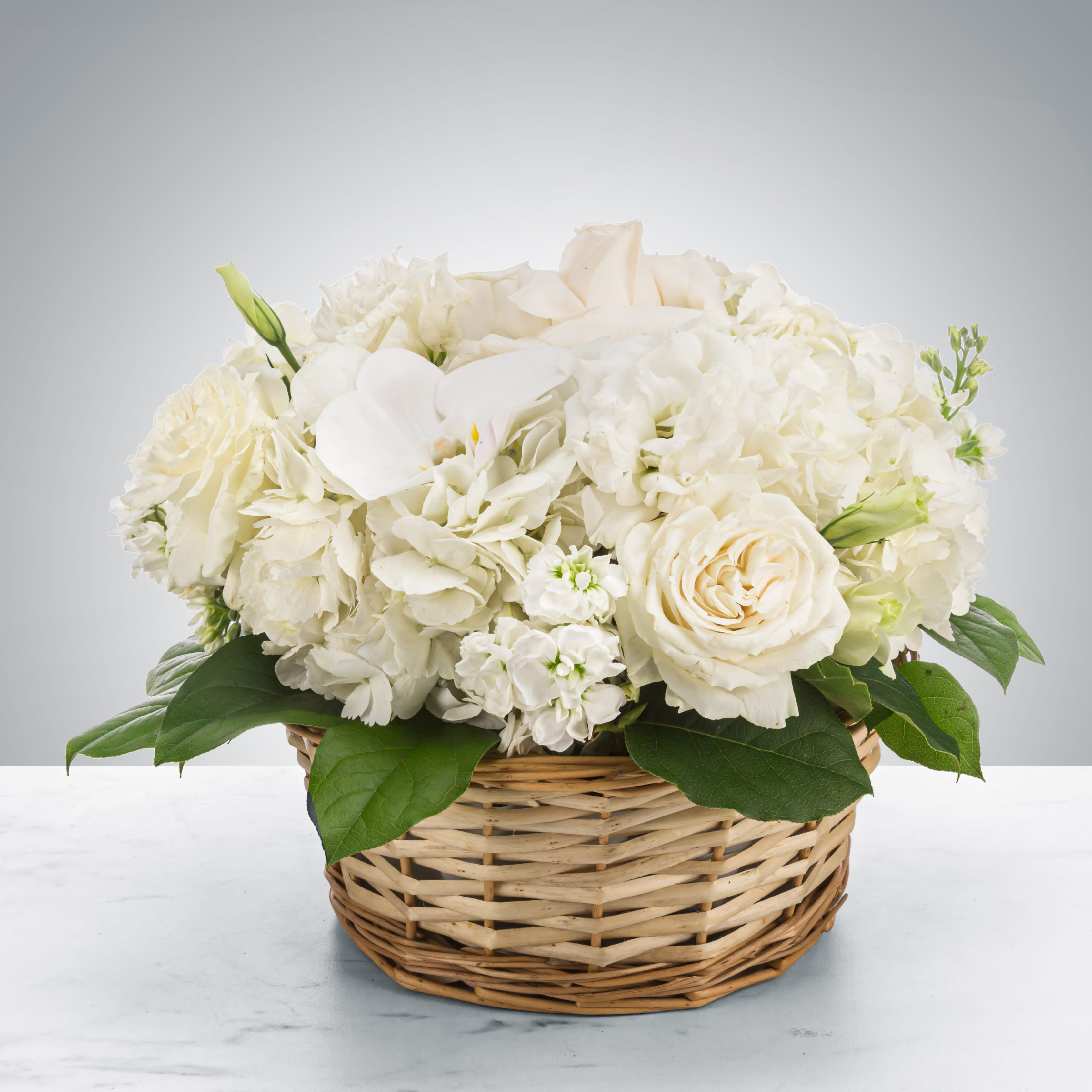 Lace by BloomNation™ - Send this all-white arrangement to the family's home to let them know you are thinking of them in their time of loss. Featuring white hydrangea, and white orchids this pure white arrangement is a classic sympathy arrangement.For same day delivery and Free Delivery Options Text or Call  832-973-1376.  Approximate Dimensions: 11"D x 11"H
