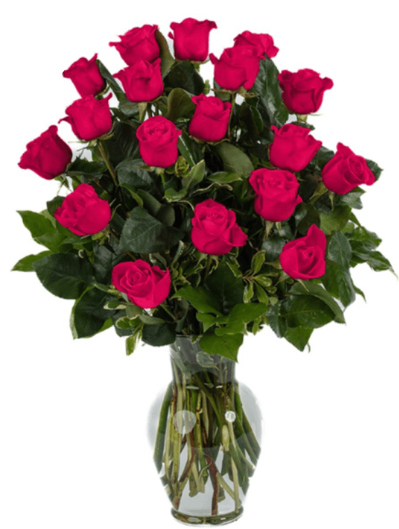 CHRISTINA - A lush cluster of hot pink roses creates an immediate romantic impression-perfect as an anniversary bouquet or a Valentine's Day surprise that makes her feel truly cherished. The rounded, dense silhouette reads classic and elegant, sending a clear message of love and celebration for birthdays, proposals, or any moment you want to feel special.  Tightly opened hot pink rose blooms are arranged evenly in a clear glass vase, with deep green foliage providing contrast and a rich, layered texture. The compact, domed shape and uniform petal display give the arrangement a full, luxurious look in pink, green, and white tones.  This is the kind of gift that makes the recipient feel seen and adored; ideal for partners, close friends, or anyone you want to celebrate. Vase dimensions and bloom count available at checkout-easy delivery and simple care: fresh water, a clean vase, and trimmed stems will keep the roses looking their best.