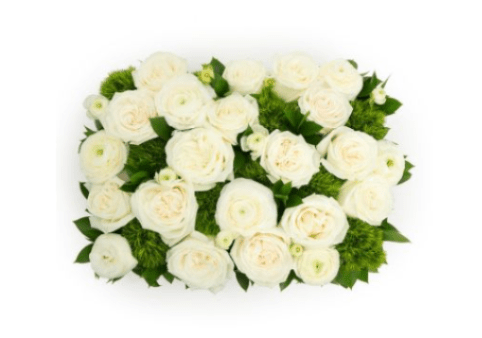 White rose arrangement with green filler on a white background