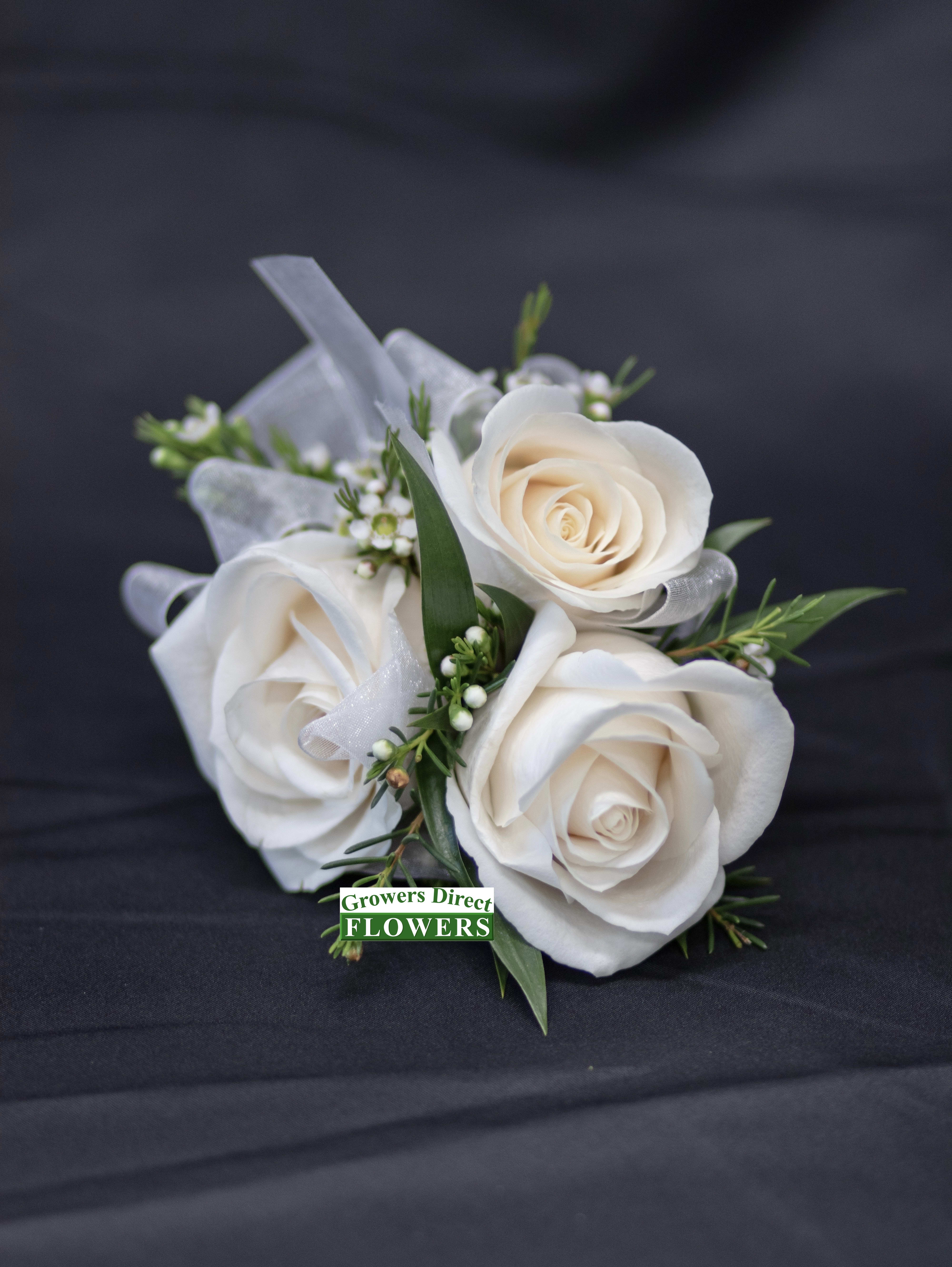 Three white roses with small filler flowers and ribbon