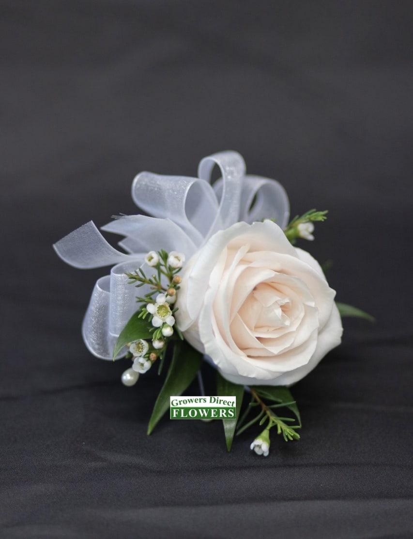 White rose corsage with pale ribbon and small white accents