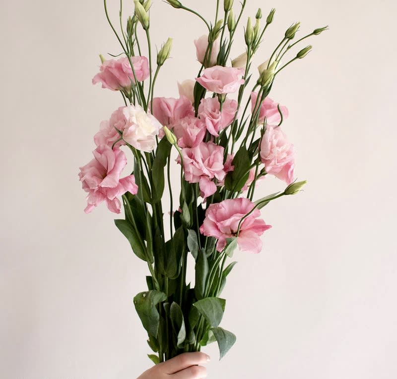 Handheld bundle of tall pink lisianthus stems against a plain light background