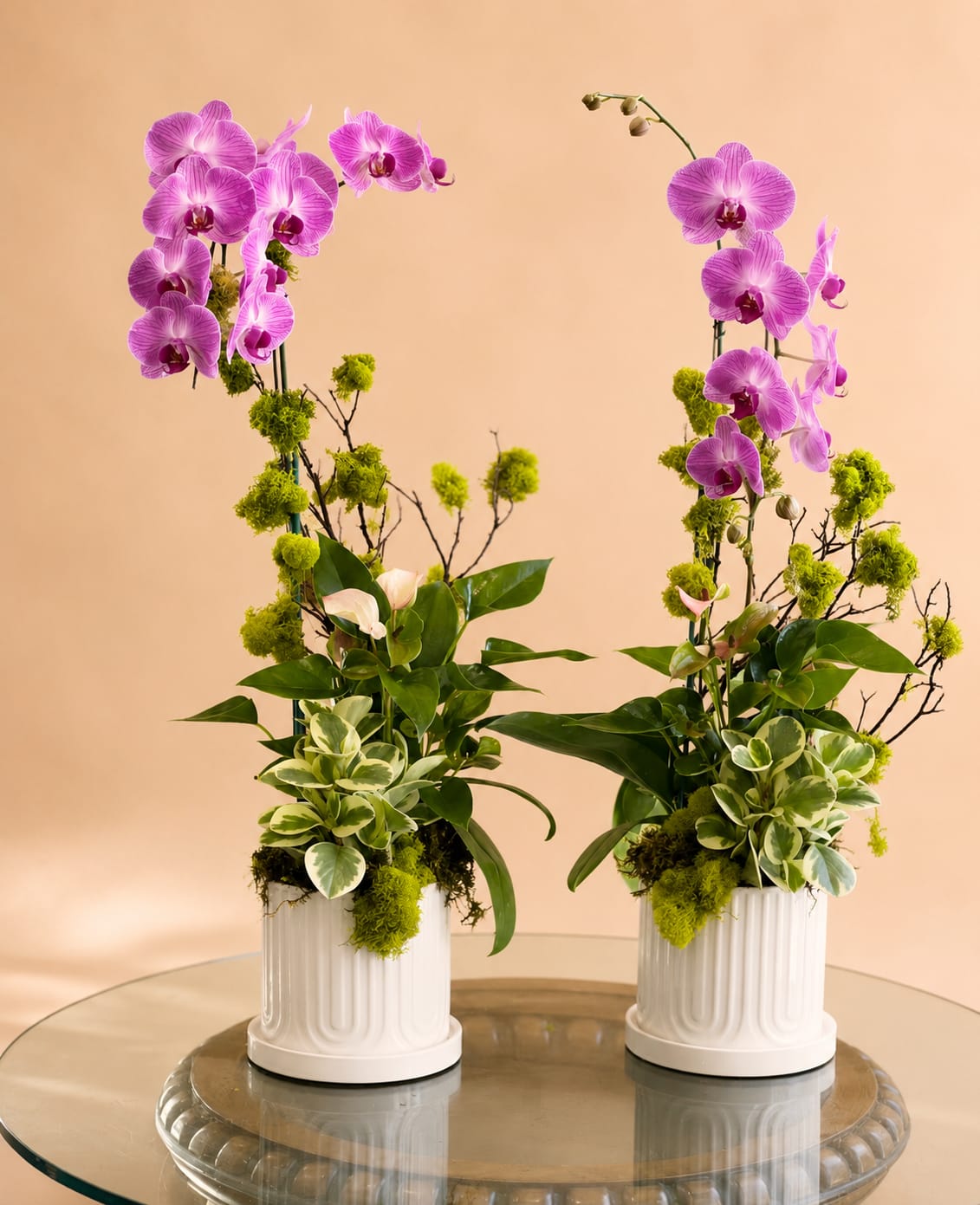 Orchid Planter Set  - Set of two orchid arrangements. Each planter holds one phaelonopsy orchid, 2 plants, adorned with manzanita branches, moss, and arranged in a white ceramic pot.