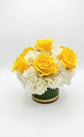 White Hydrangea and Yellow Roses - Yellow roses and White hydrangea in a cylinder vase.