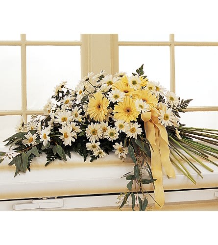 Yellow and white daisy bouquet with a yellow ribbon