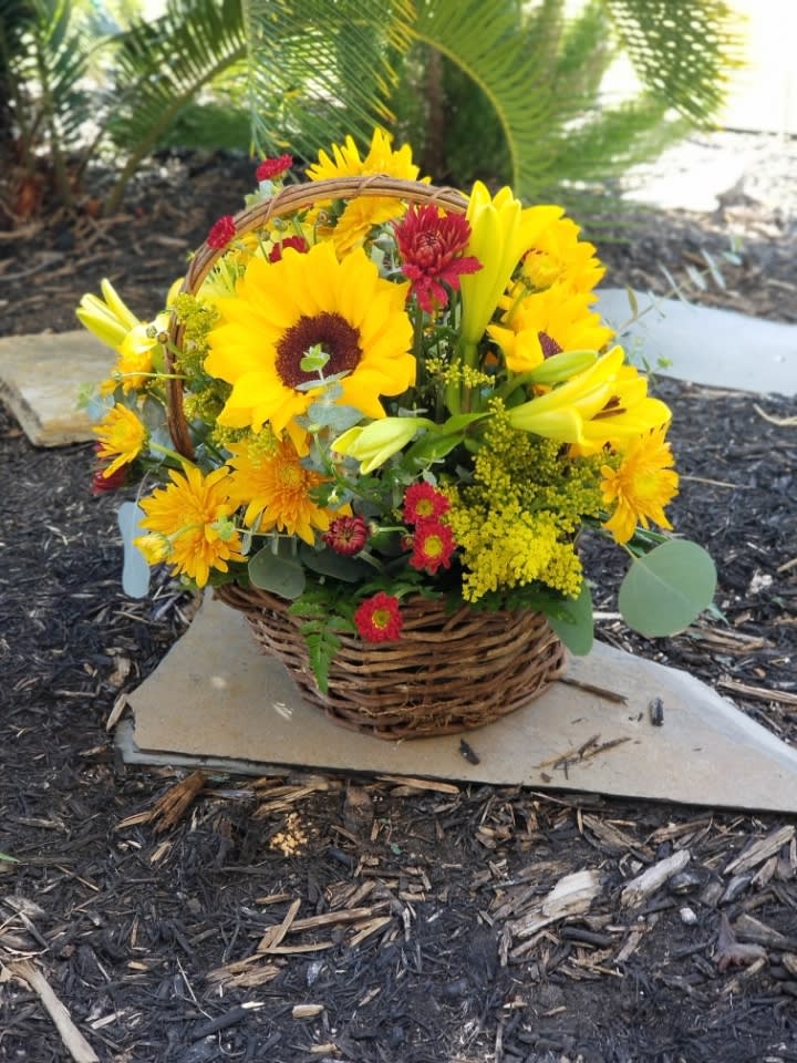 Golden Days Basket - Brighten someone’s day with a golden gesture. This cheerful basket of fresh fall blooms is the perfect way to show you’re thinking of them—and guaranteed to lift their spirits.  Radiant sunflowers and Asiatic lilies mingle with rich red roses, golden and burgundy chrysanthemums, solidago, copper beech, and lush salal, all beautifully arranged in a rustic wicker basket. Send this heartfelt gift, and you’ll shine just as brightly  Please note that cancellations are subject to a 10% processing fee, or up to a $25 fee for all refunds processed.