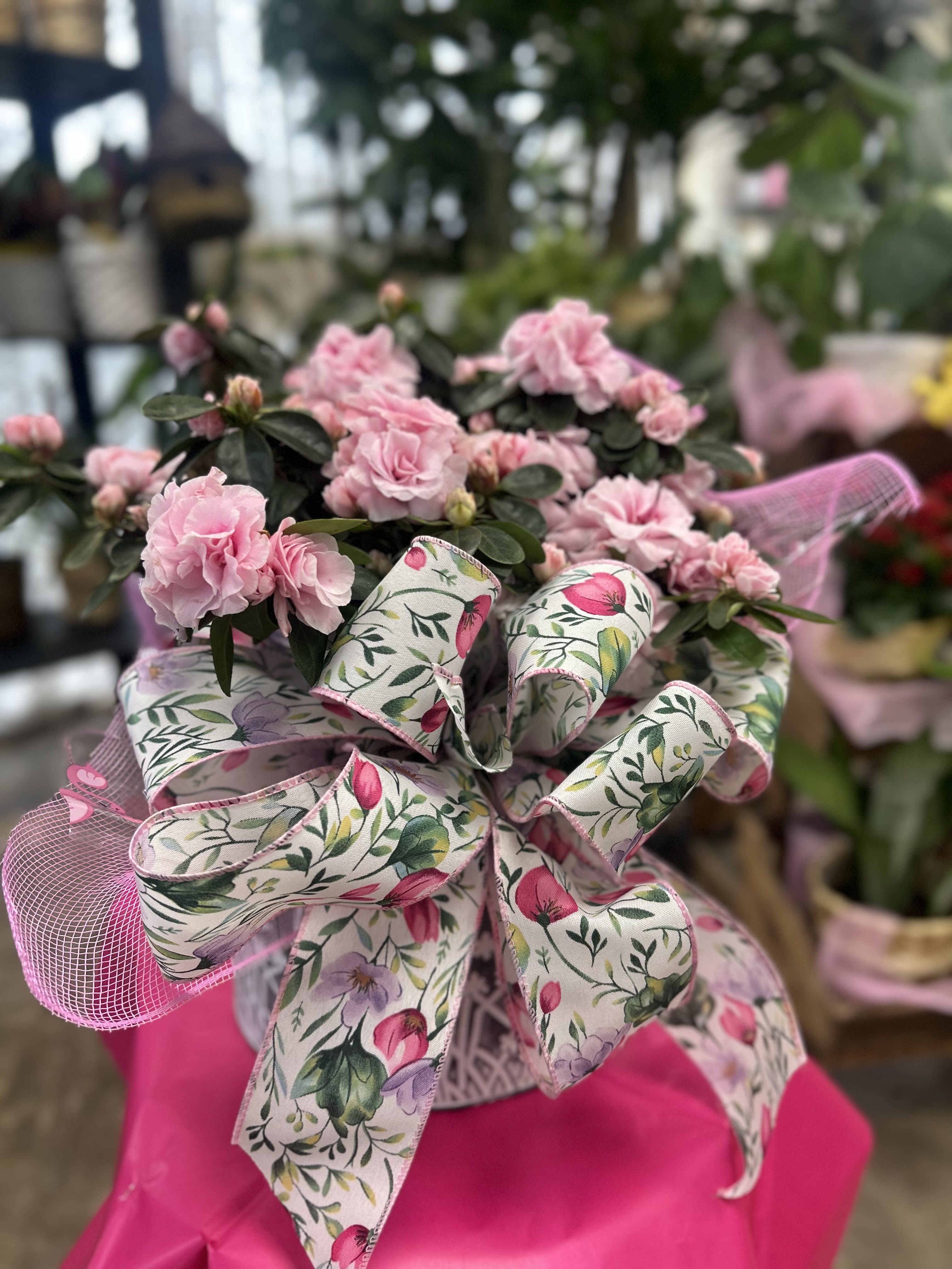 Garden Azalea - Garden Azalea  A charming and timeless gift that brings the beauty of the garden to her doorstep.  Planted in a galvanized flower bucket and finished with a coordinating bow, Garden Azalea features a blooming azalea plant known for its vibrant color and lasting beauty. This living gift offers something she can enjoy well beyond Mother’s Day, whether placed on a porch, patio, or in her favorite sunny spot.  Thoughtfully designed for Mother’s Day, Garden Azalea is a meaningful way to celebrate her with something that continues to grow and flourish, just like her love.