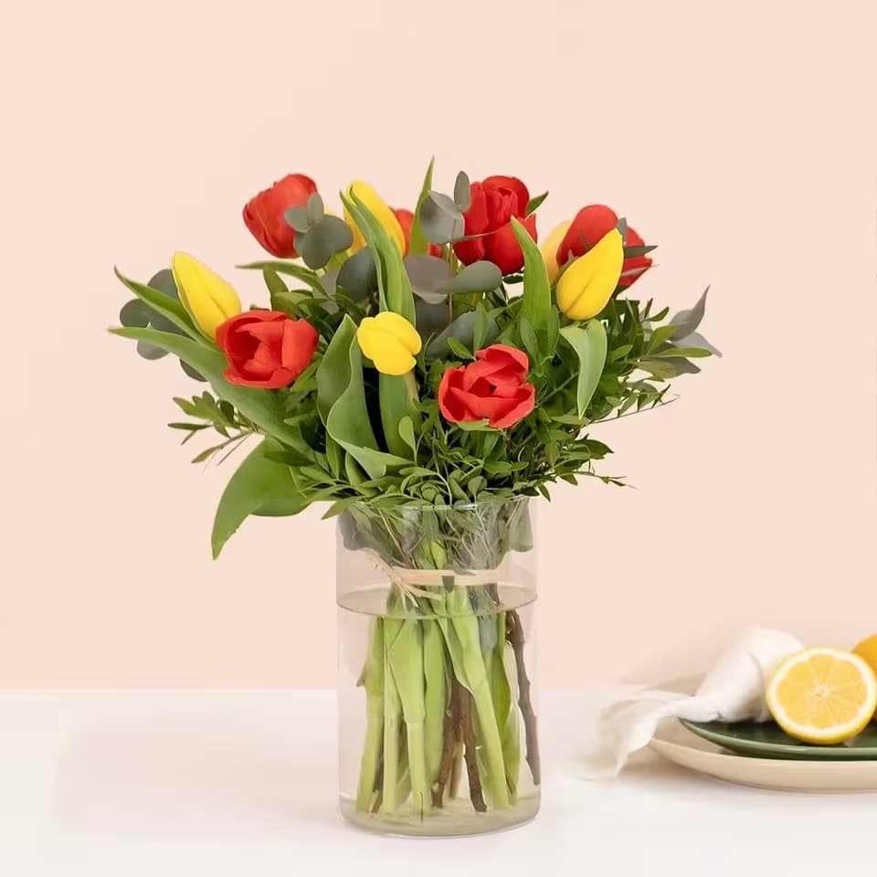 Multi-Coloured Tulips Bouquet - A rainbow of tulips Standar -12  Deluxe - 18 Premium -24