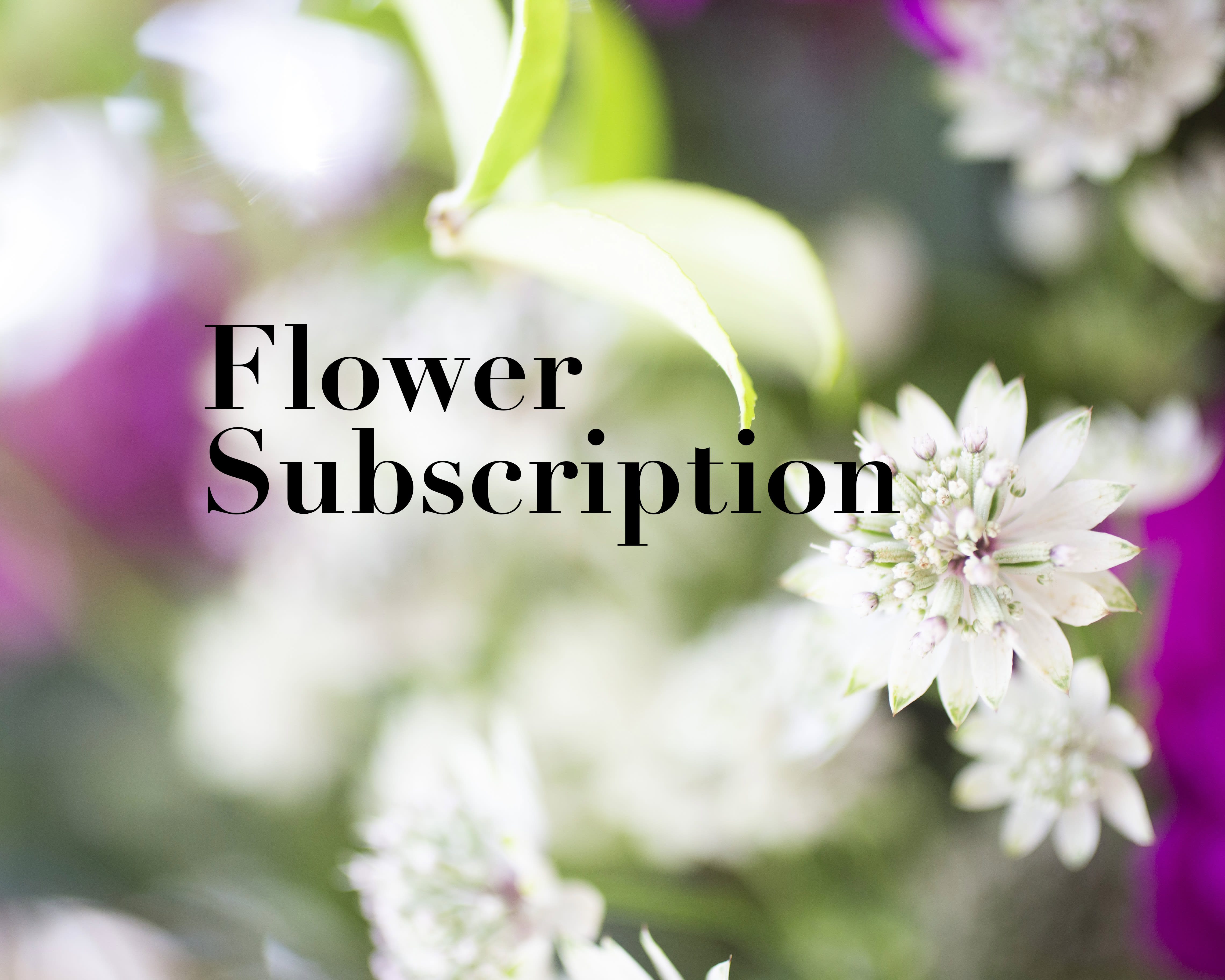 Blurred white flowers with the words Flower Subscription