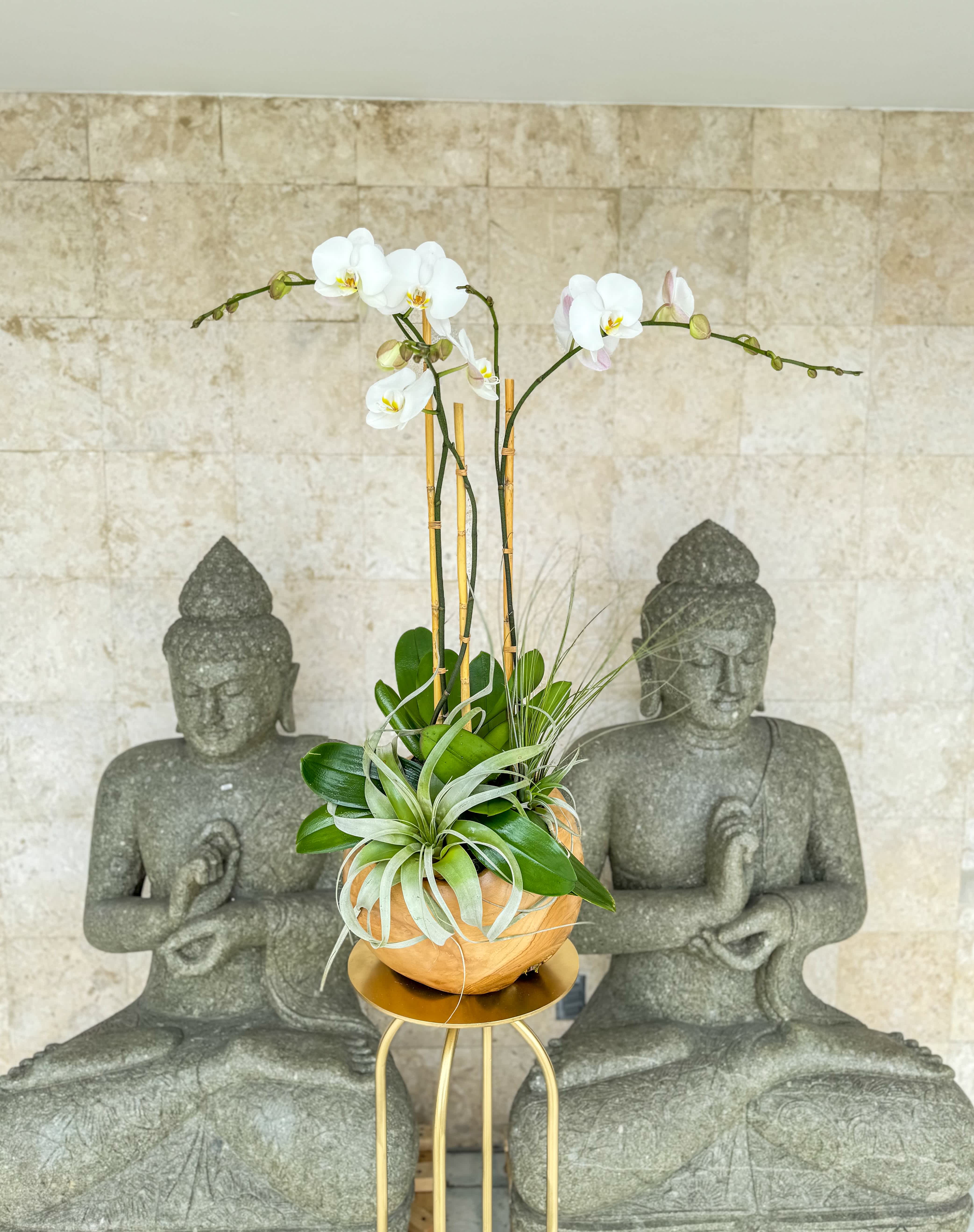 Bali Orchid Planter - Keep it simple while standing out, with this stunning teak wood Balinese bowl filled with beautiful blooming orchids. Perfect for any occasion and any space. Standard size: 3 stems orchid arrangement (OUT OF STOCK) Deluxe: 5 stems orchid arrangement 
