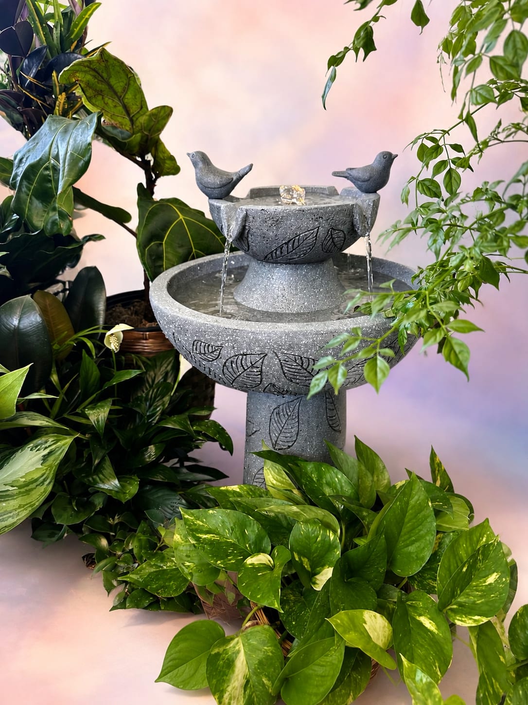 Stone birdbath fountain surrounded by potted houseplants